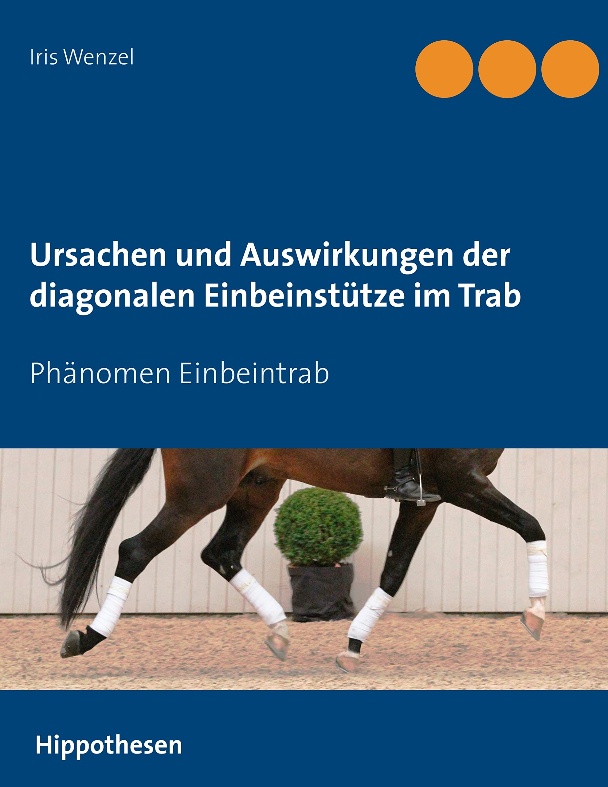 Ursachen und Auswirkungen der diagonalen Einbeinstütze im Trab: Phänomen Einbeintrab Pets