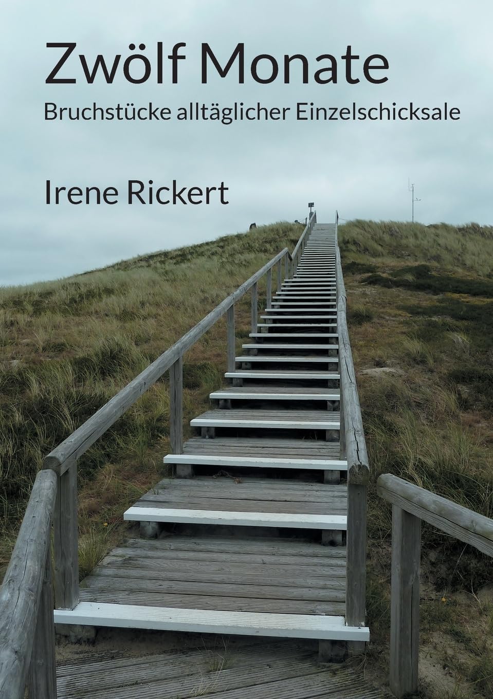 Zwölf Monate: Bruchstücke alltäglicher Einzelschicksale Contemporary literature