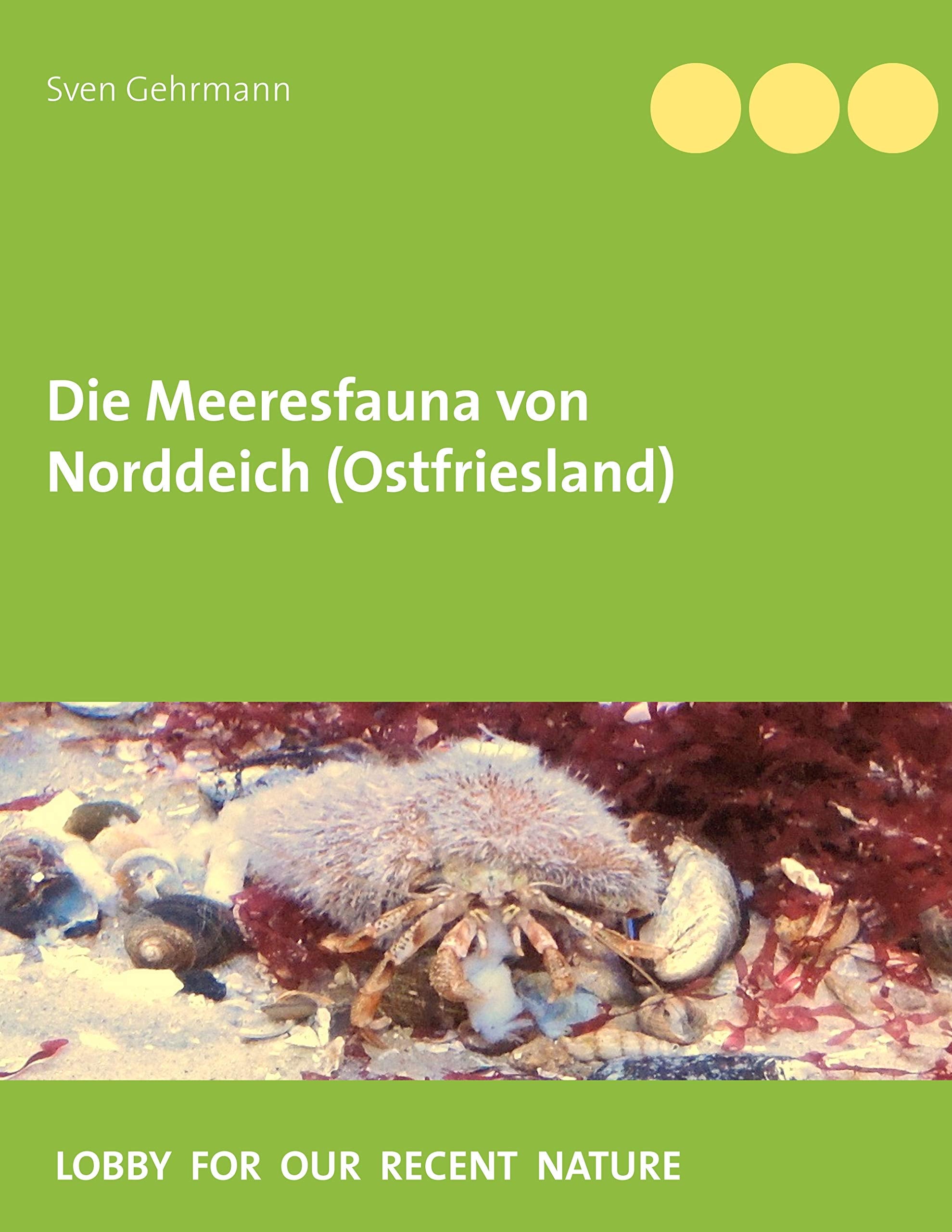 Die Meeresfauna von Norddeich (Ostfriesland) Mathematics