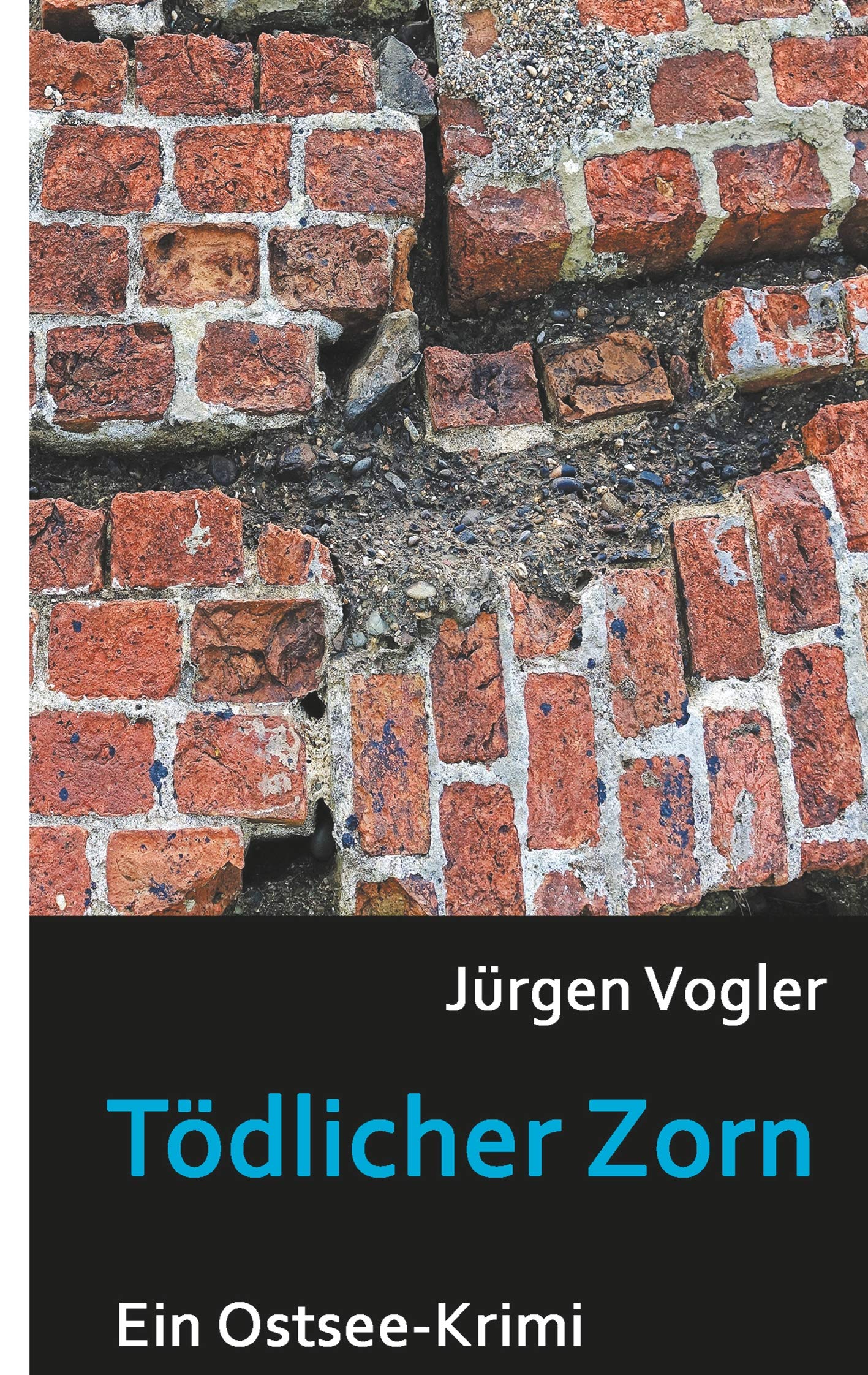 Tödlicher Zorn book
