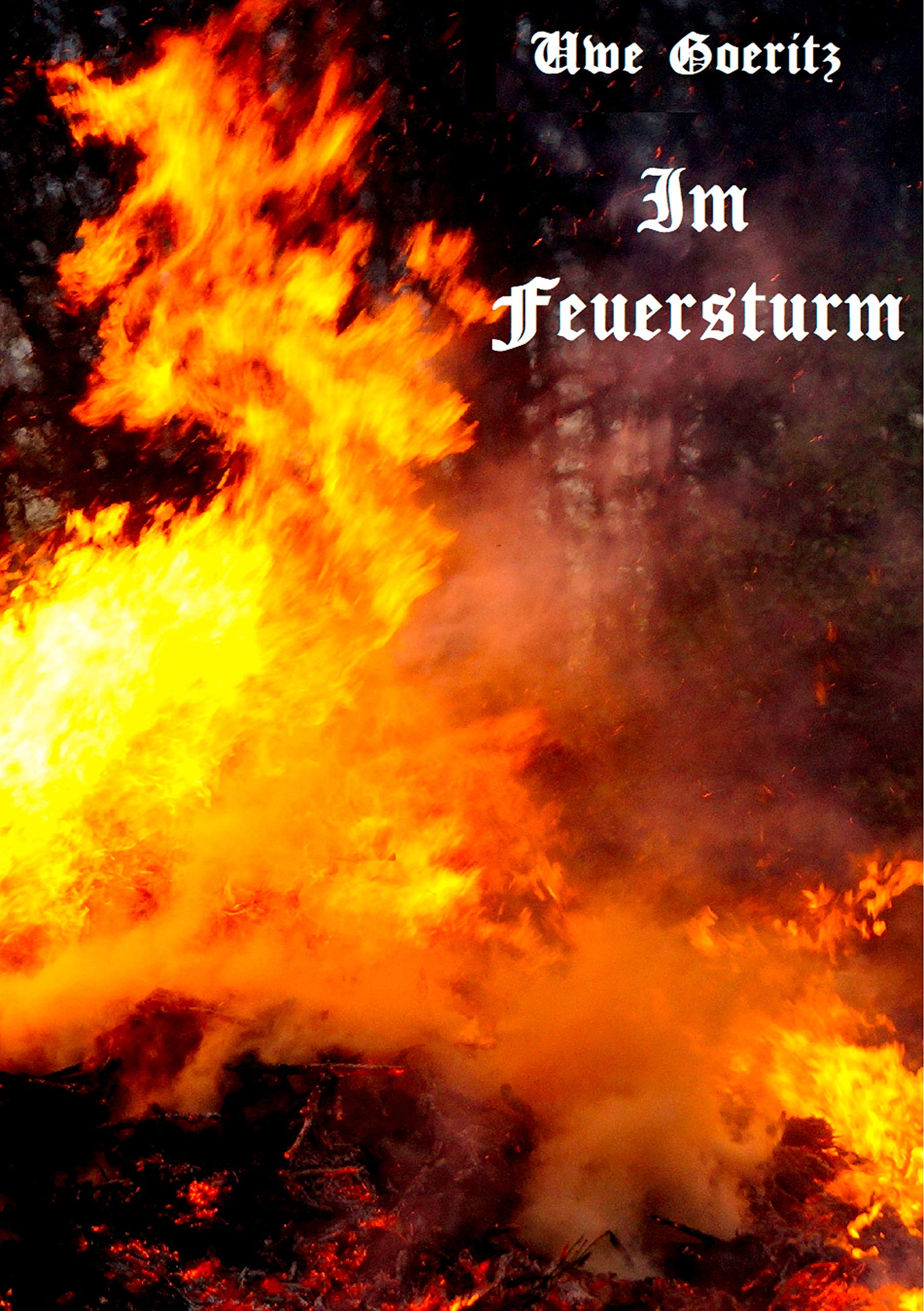 Product Image: Im Feuersturm: Grete Minde