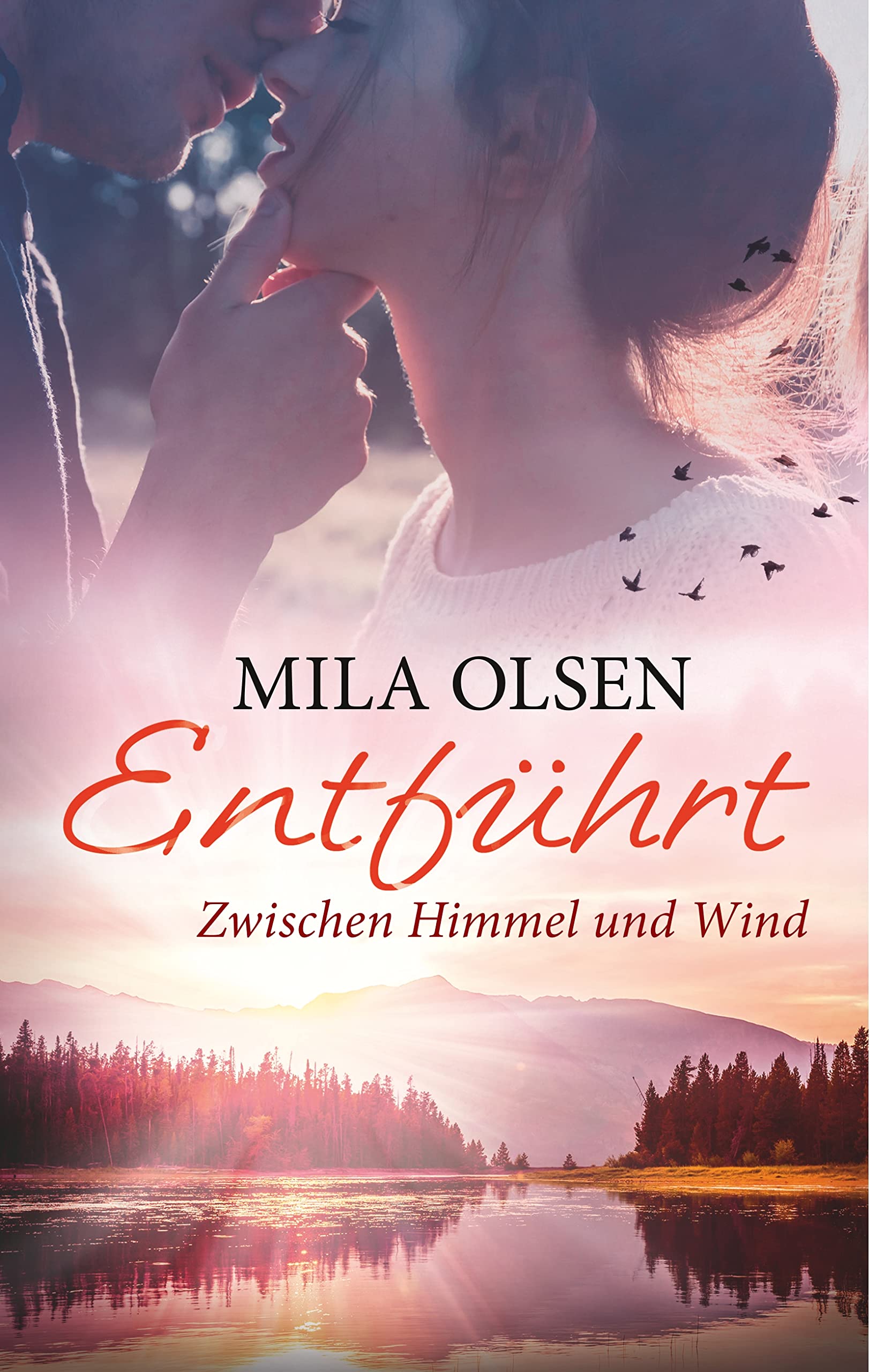 Entführt - Zwischen Himmel und Wind (Entführt (Louisa & Brendan)) Contemporary literature