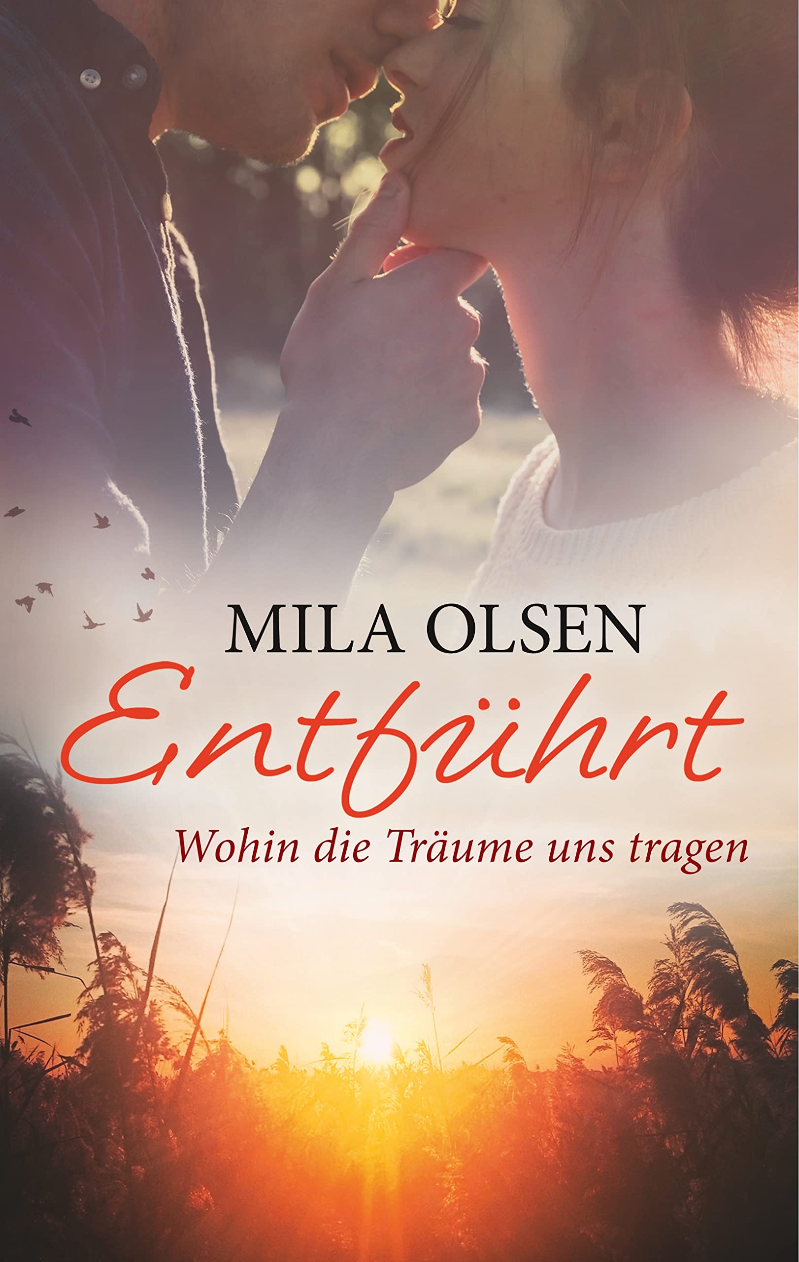 Entführt - Wohin die Träume uns tragen (Entführt (Louisa & Brendan)) Contemporary literature