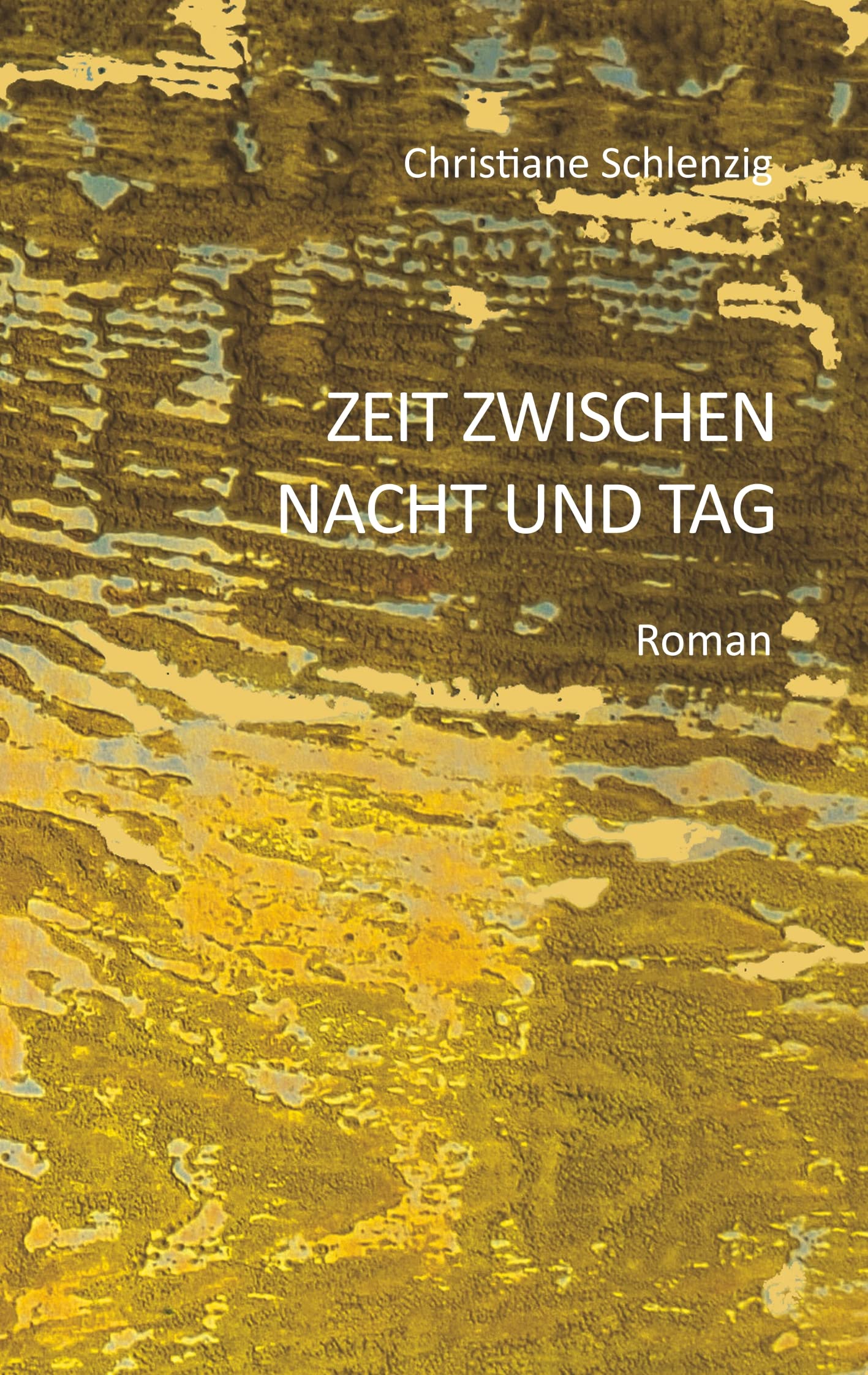 Zeit zwischen Nacht und Tag Contemporary literature