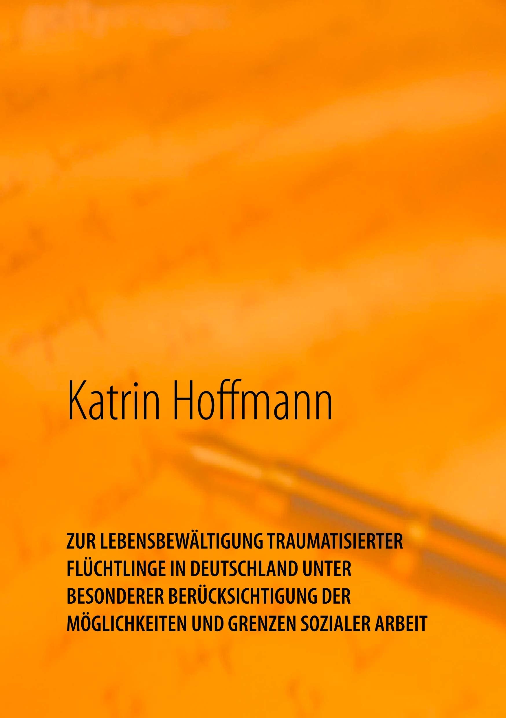 ZUR LEBENSBEWÄLTIGUNG TRAUMATISIERTER FLÜCHTLINGE IN DEUTSCHLAND UNTER BESONDERER BERÜCKSICHTIGUNG DER MÖGLICHKEITEN UND GRENZEN SOZIALER ARBEIT: ... der Möglichkeiten und Grenzen Sozialer Arbeit Social Sciences