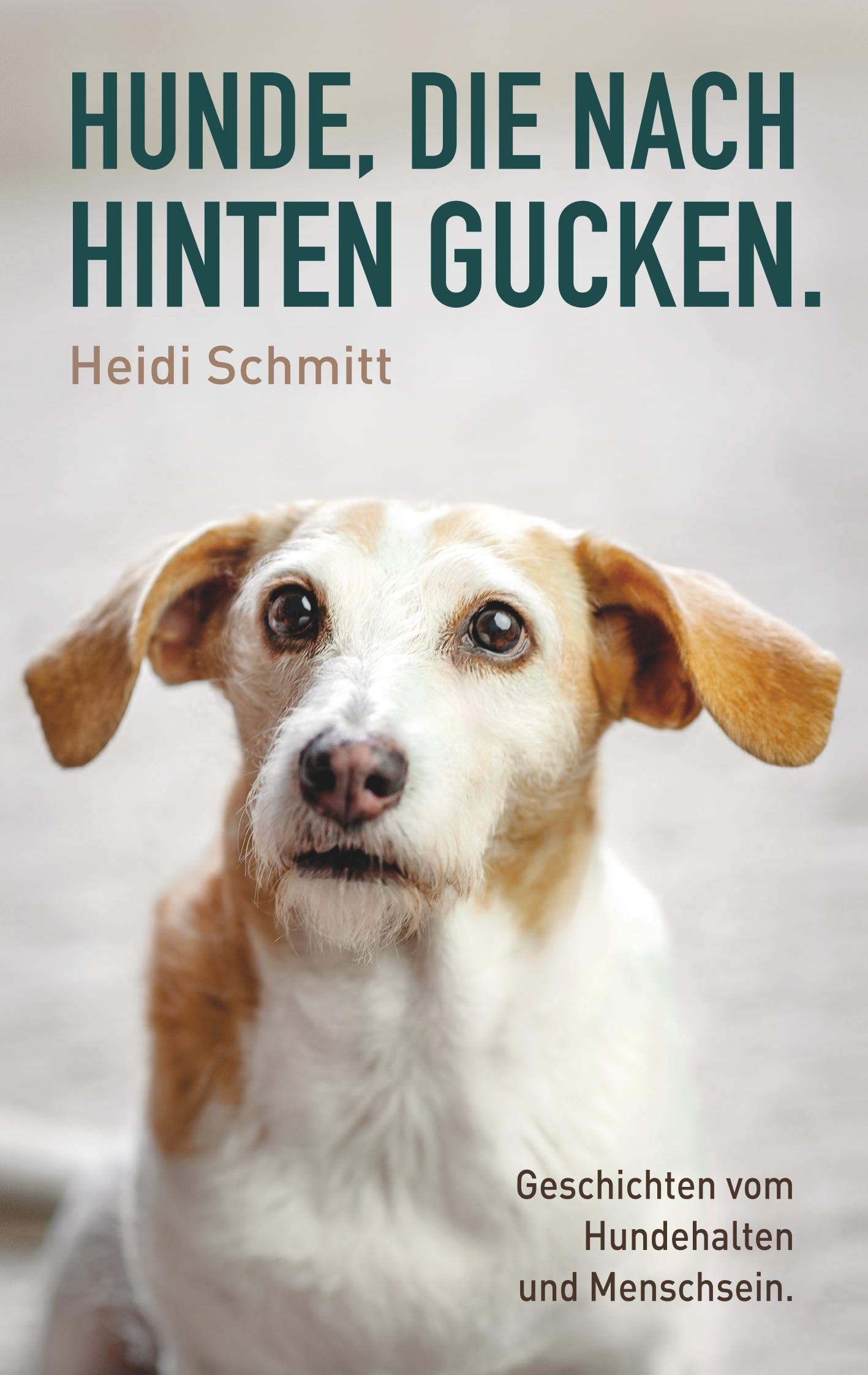 Hunde, die nach hinten gucken. Humour & Satire