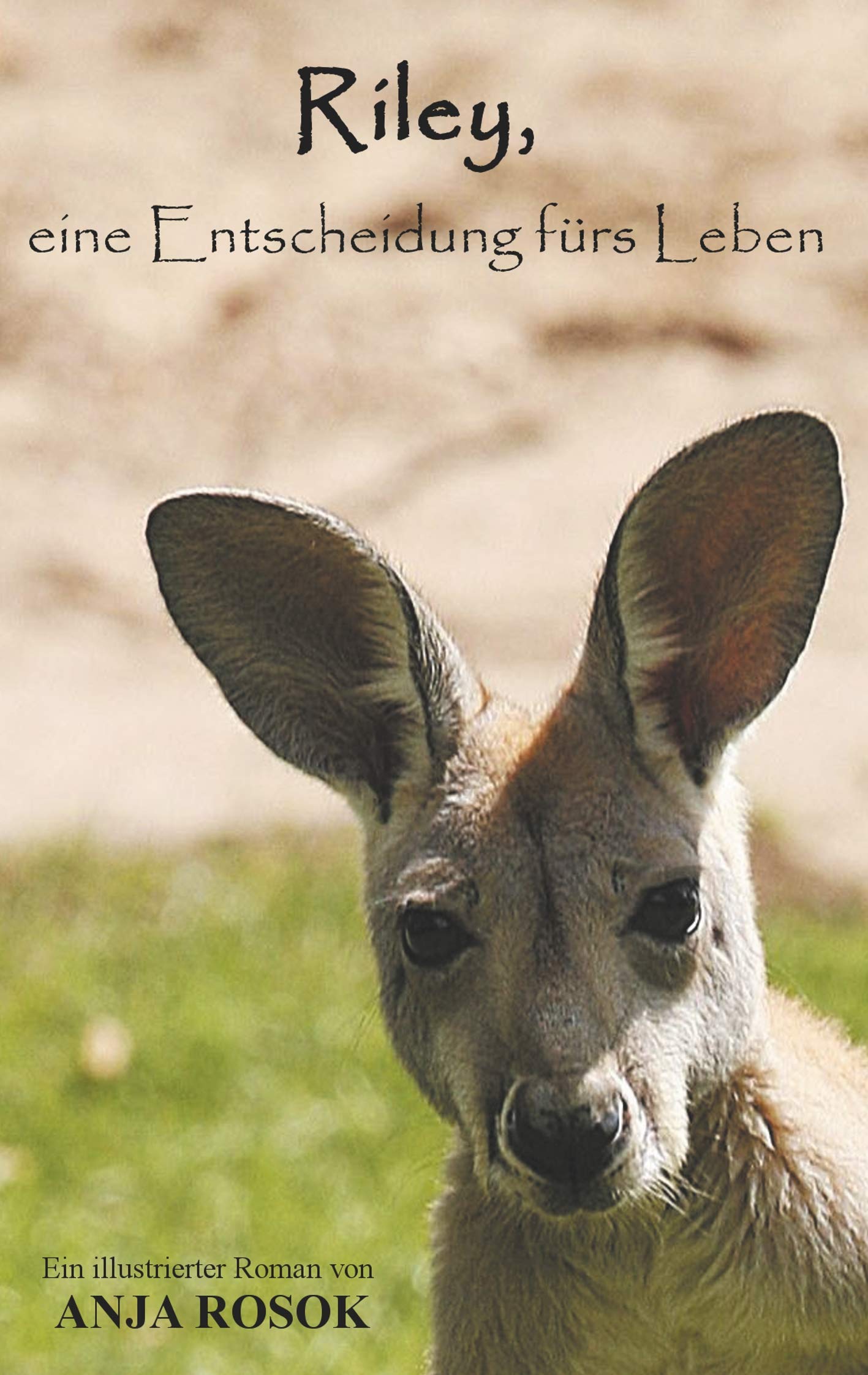 Riley, eine Entscheidung fürs Leben Contemporary literature