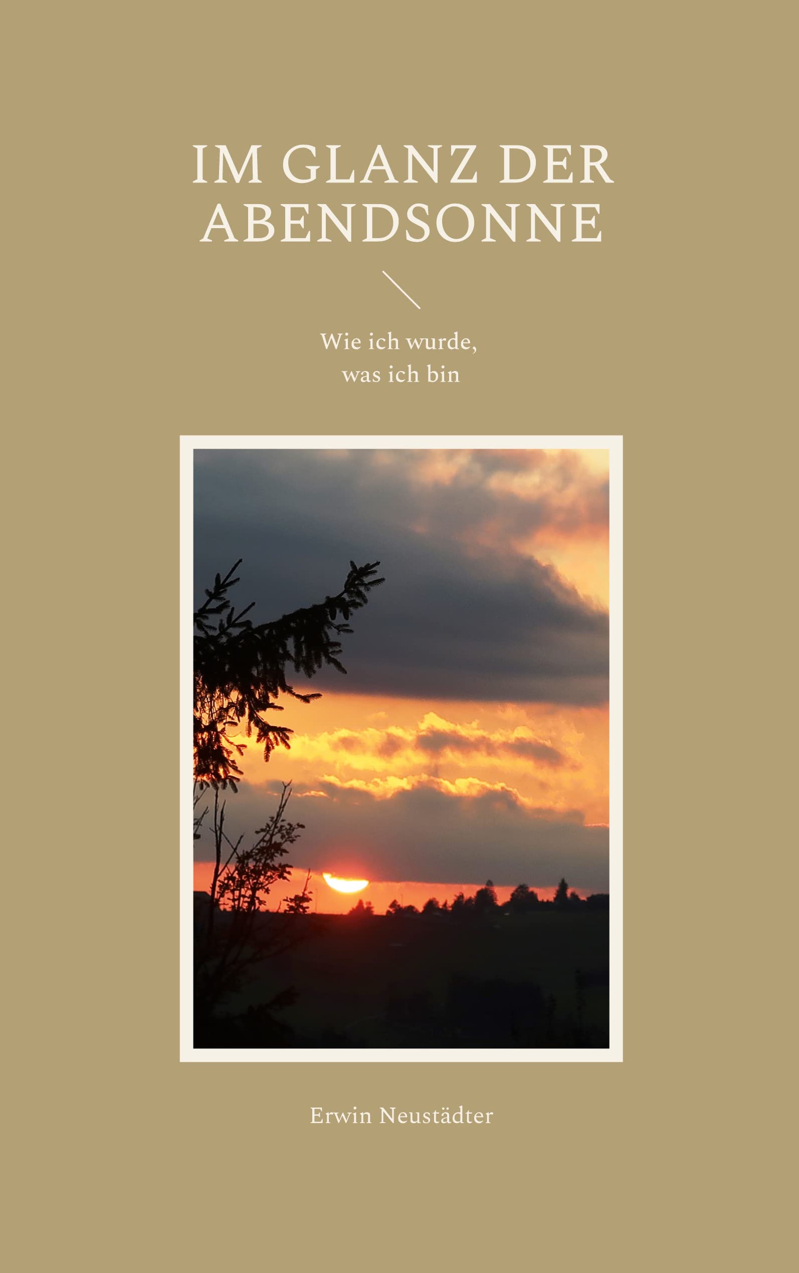 Im Glanz der Abendsonne: Wie ich wurde, was ich bin Social Sciences