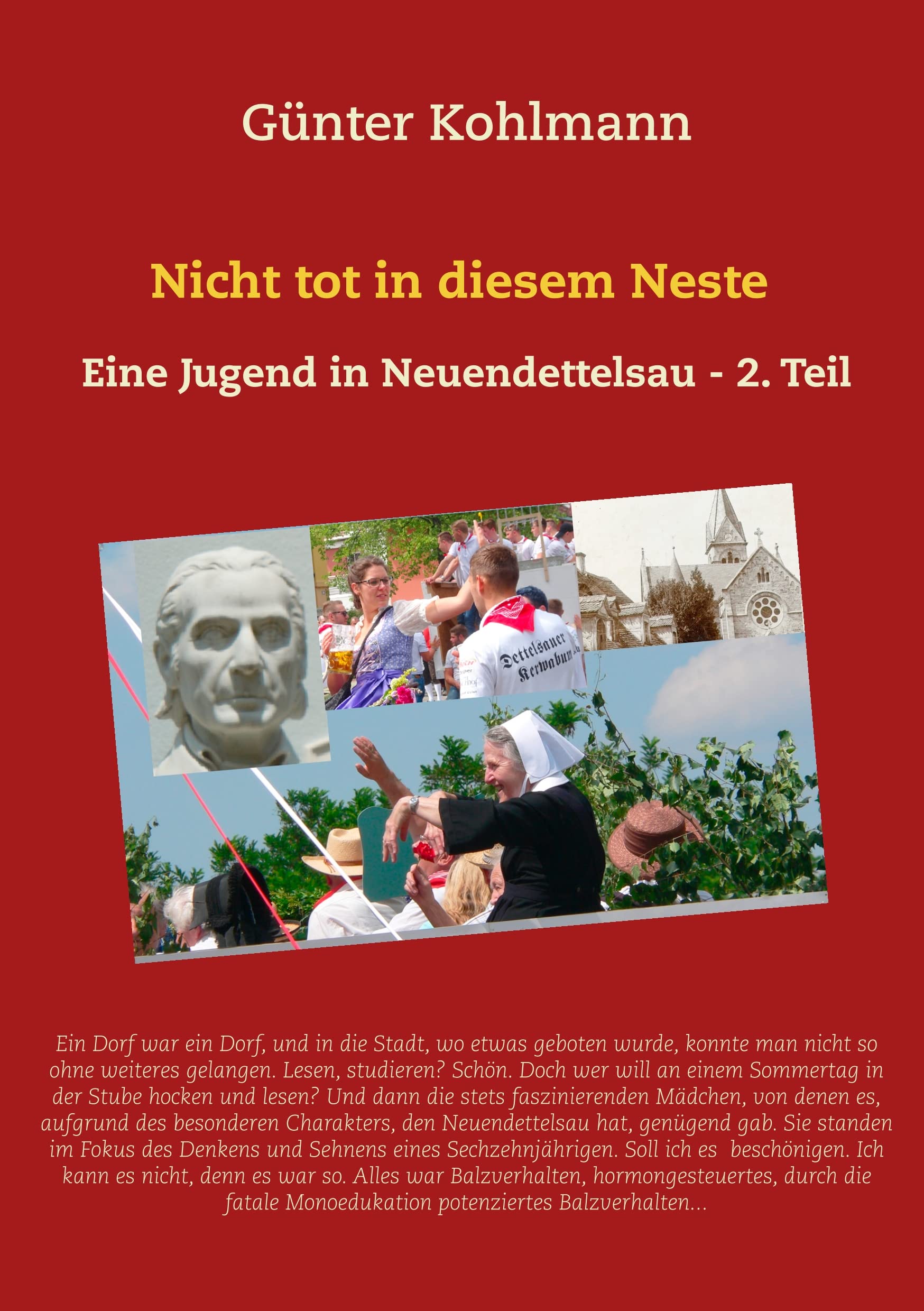 Nicht tot in diesem Neste. Zweiter Teil book