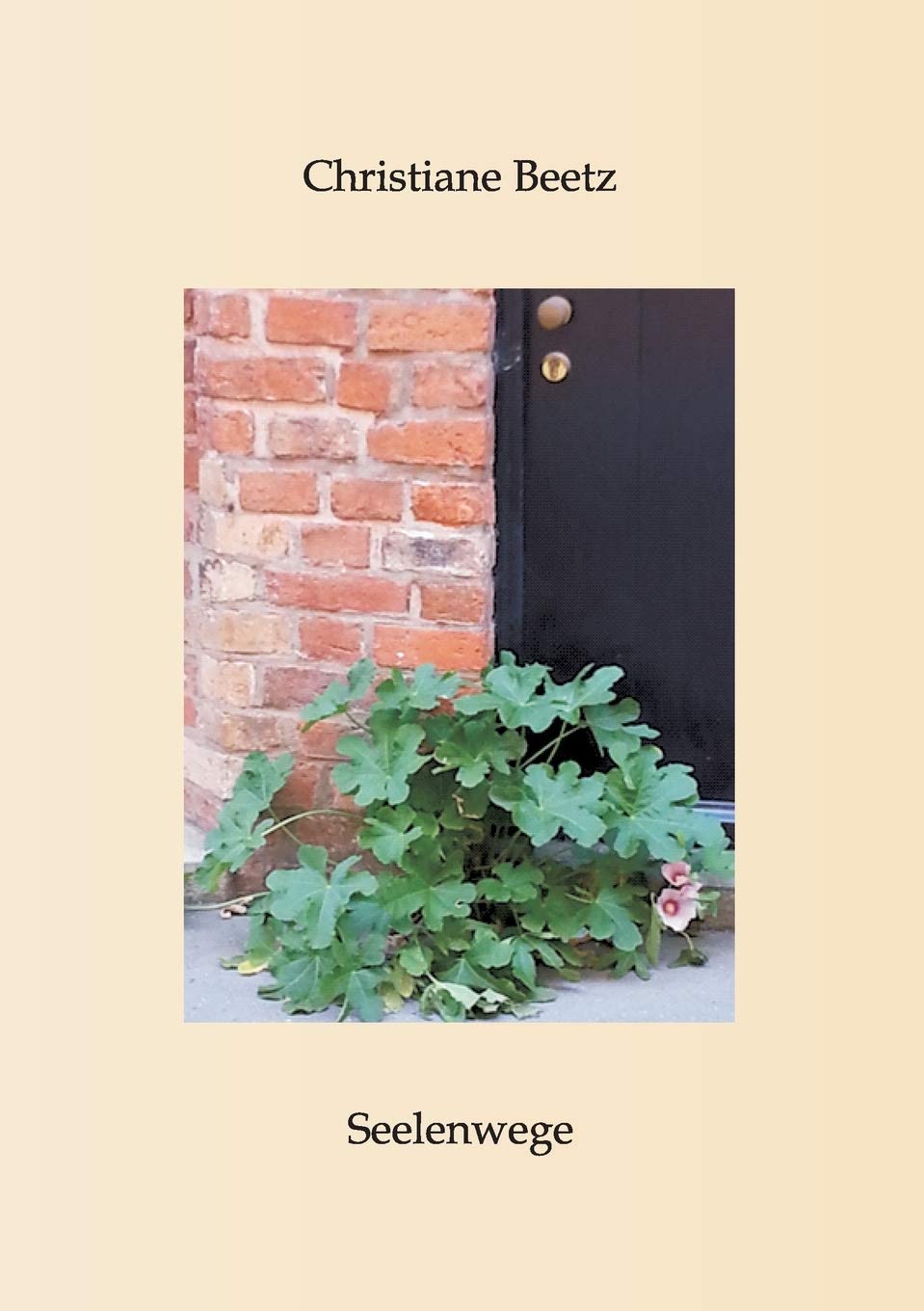 Seelenwege: Worte und Bilder Poetry