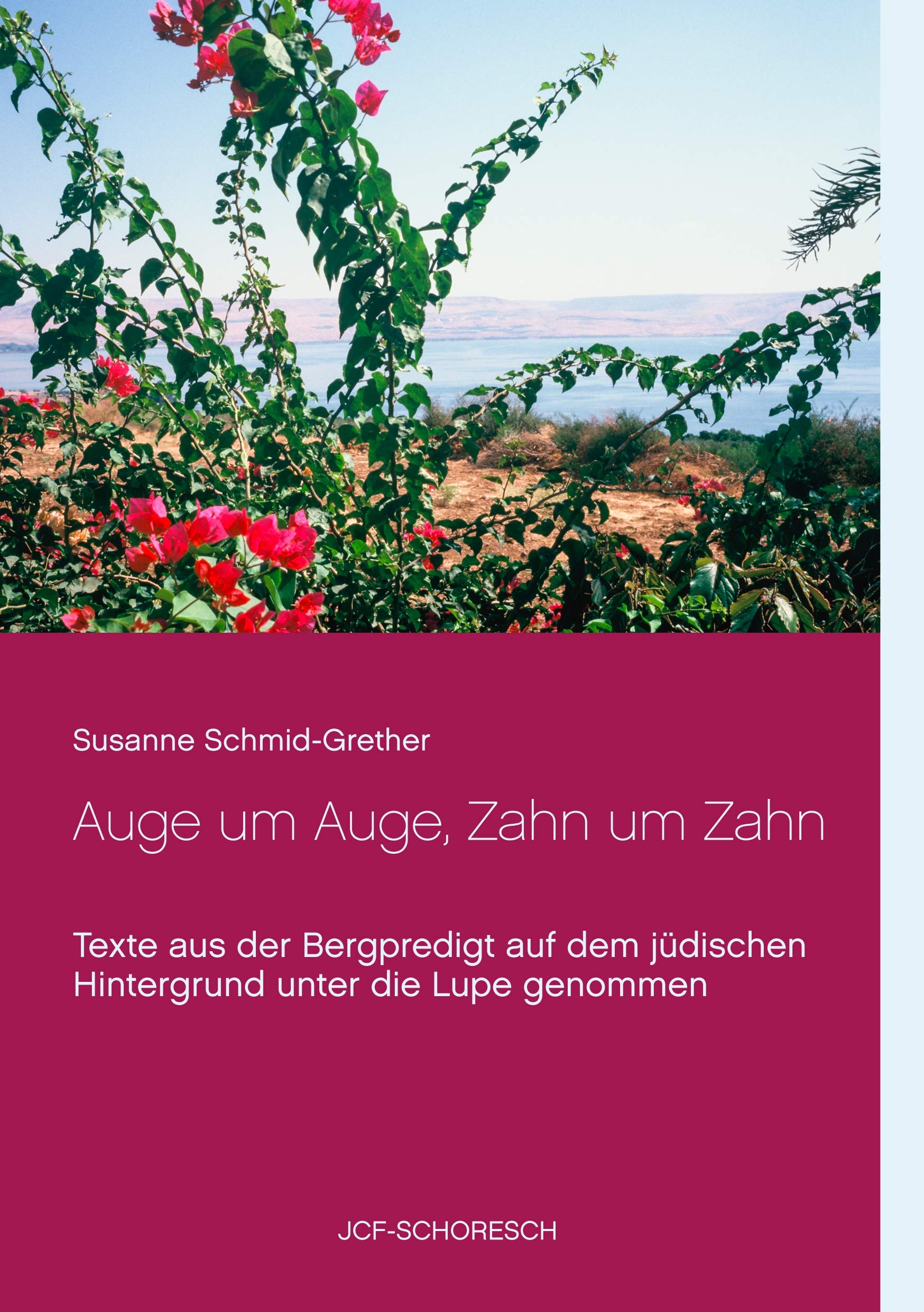 Auge um Auge, Zahn um Zahn: Texte aus der Bergpredigt auf dem jüdischen Hintergrund unter die Lupe genommen Religion & Esotericism