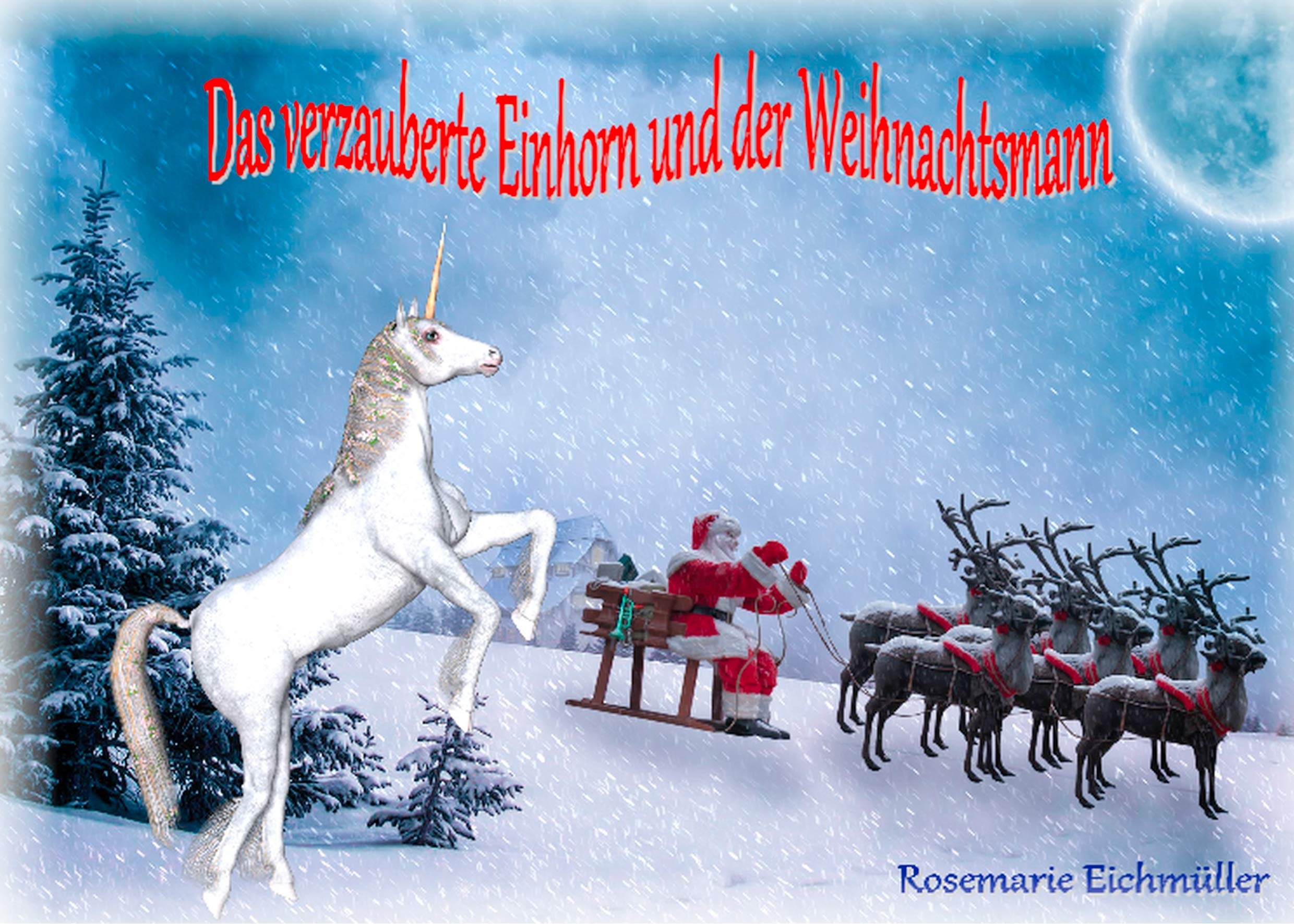 Das verzauberte Einhorn und der Weihnachtsmann Children's books