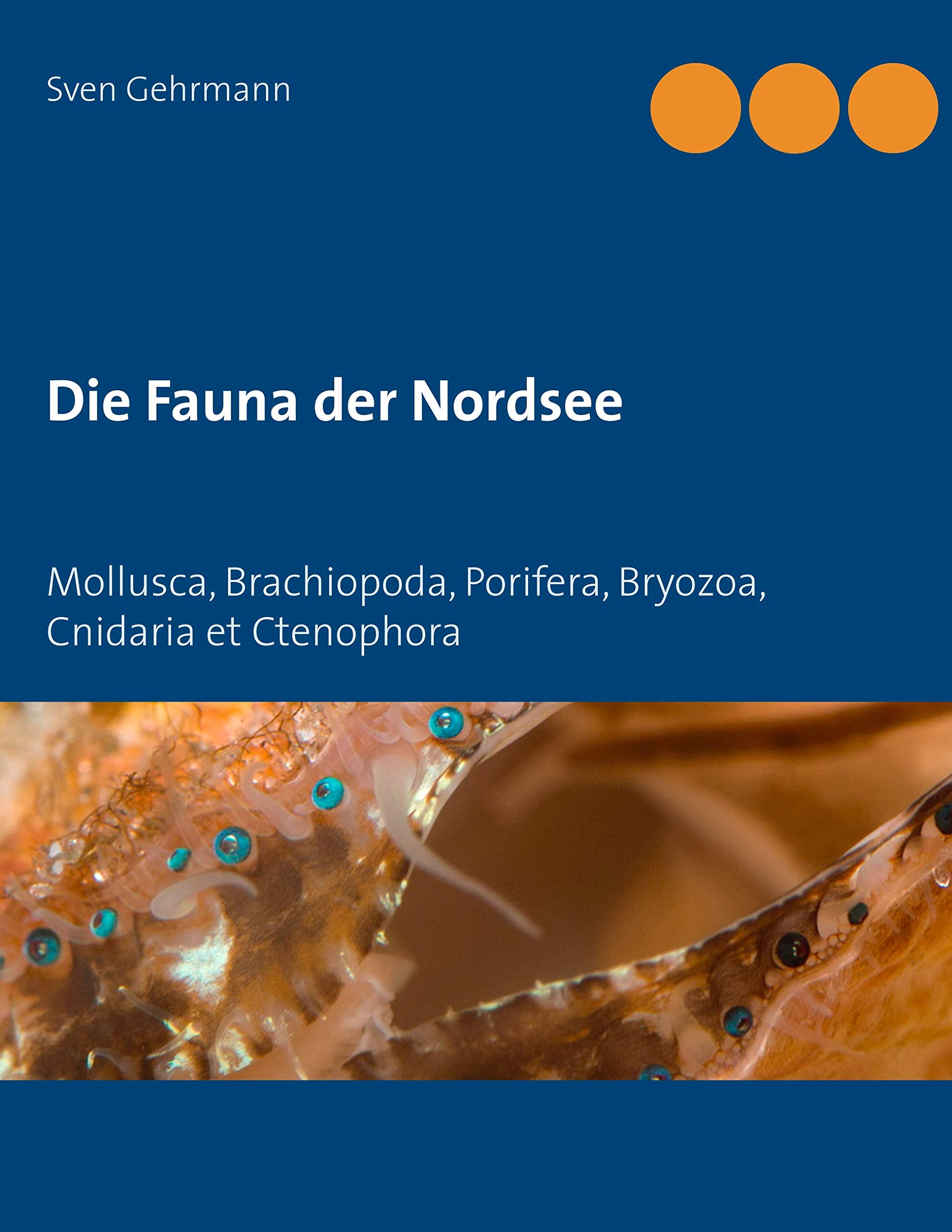 Die Fauna der Nordsee: Mollusca, Brachiopoda, Porifera, Bryozoa, Cnidaria et Ctenophora Mathematics