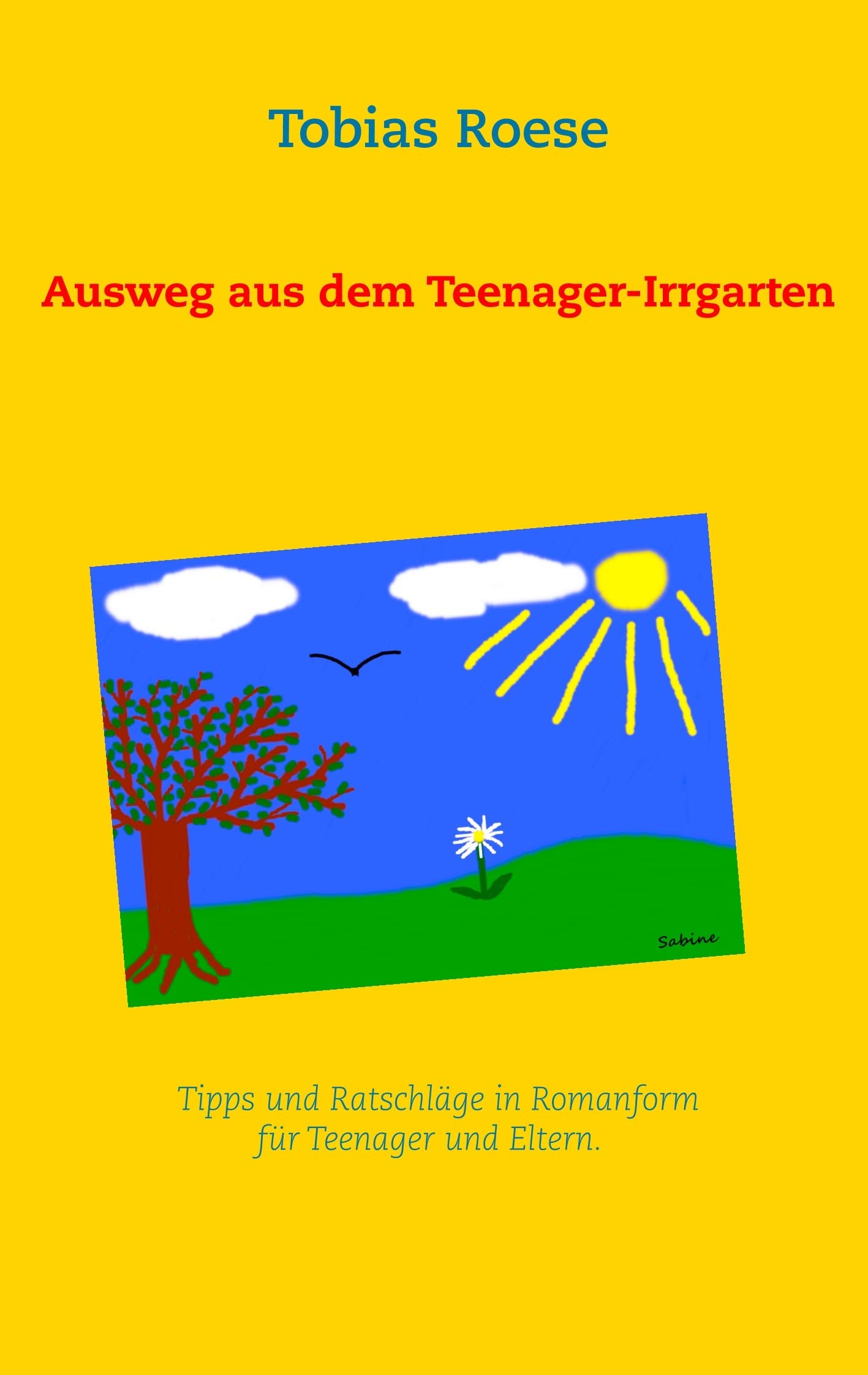 Ausweg aus dem Teenager-Irrgarten: Tipps und Ratschläge in Romanform für Teenager und Eltern Religion & Esotericism