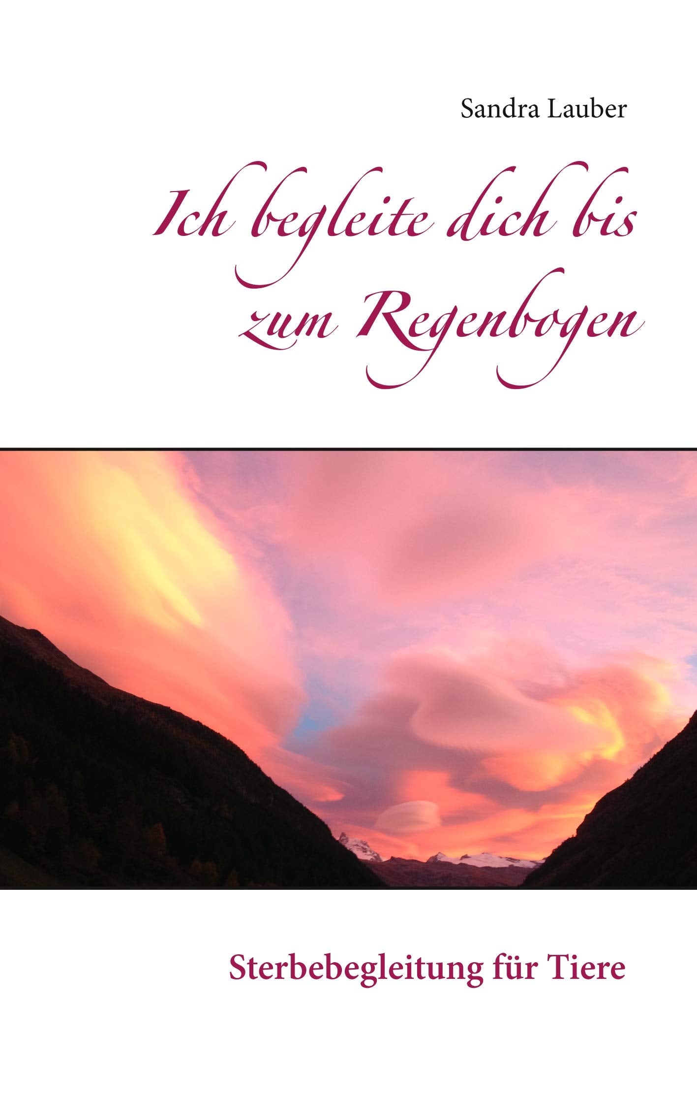 Ich begleite dich bis zum Regenbogen: Sterbebegleitung für Tiere Death & Mourning