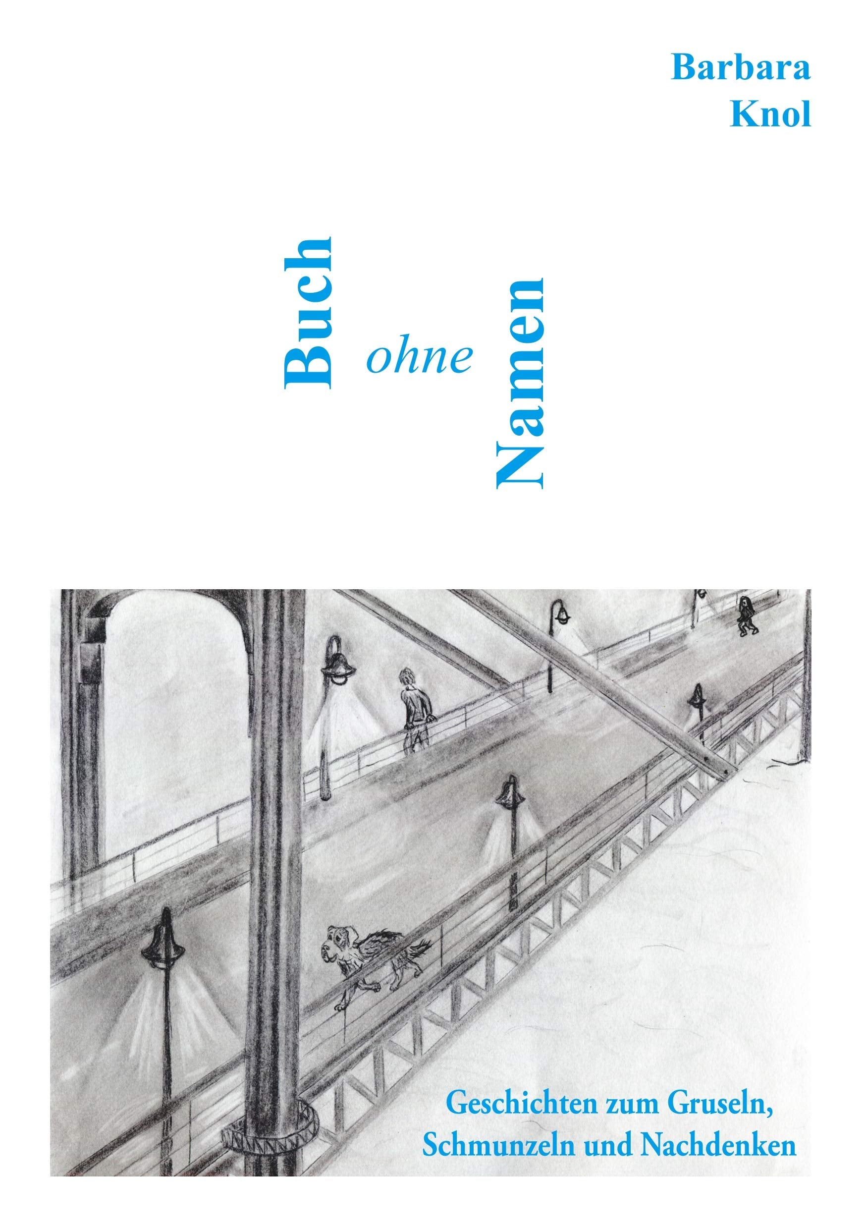 Buch ohne Namen: Geschichten zum Gruseln, Schmunzeln und Nachdenken Contemporary literature
