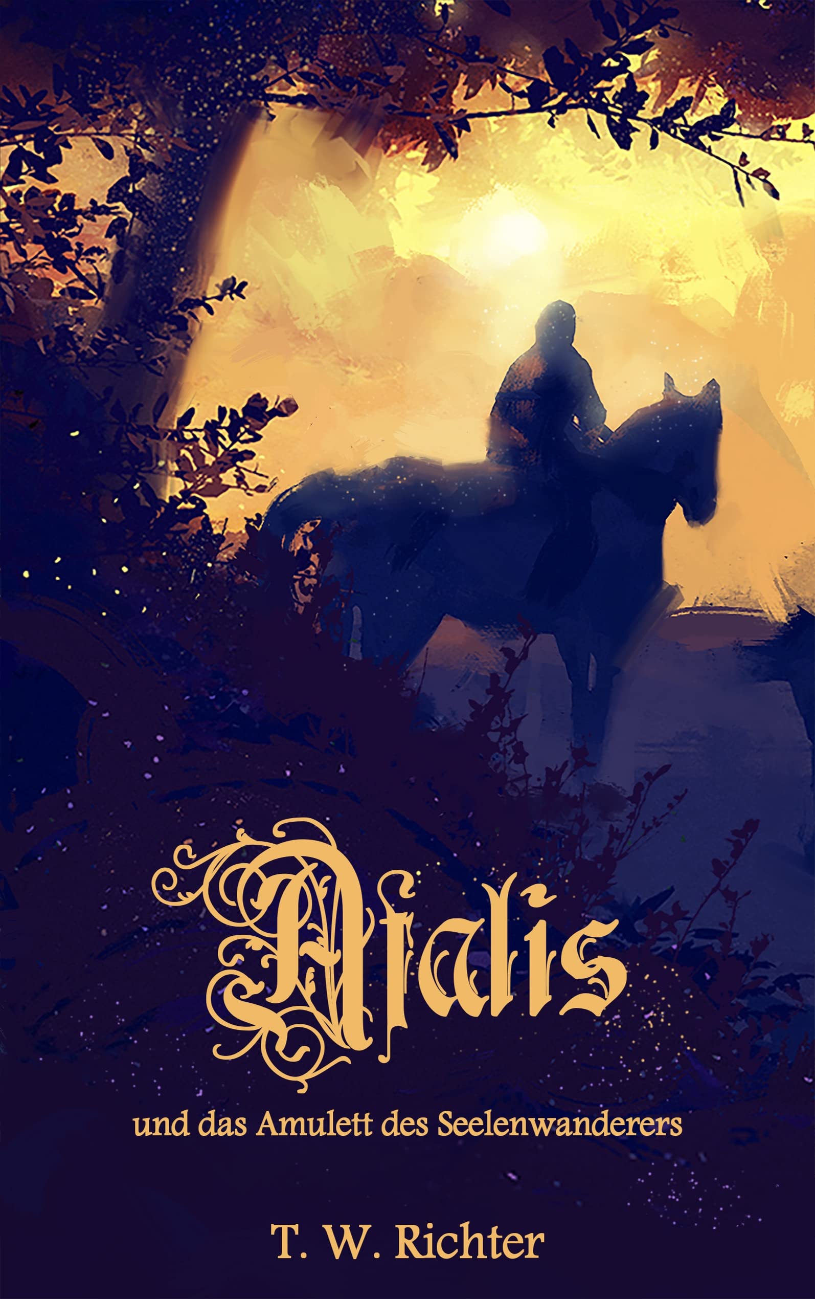 Afalis und das Amulett des Seelenwanderers Contemporary literature