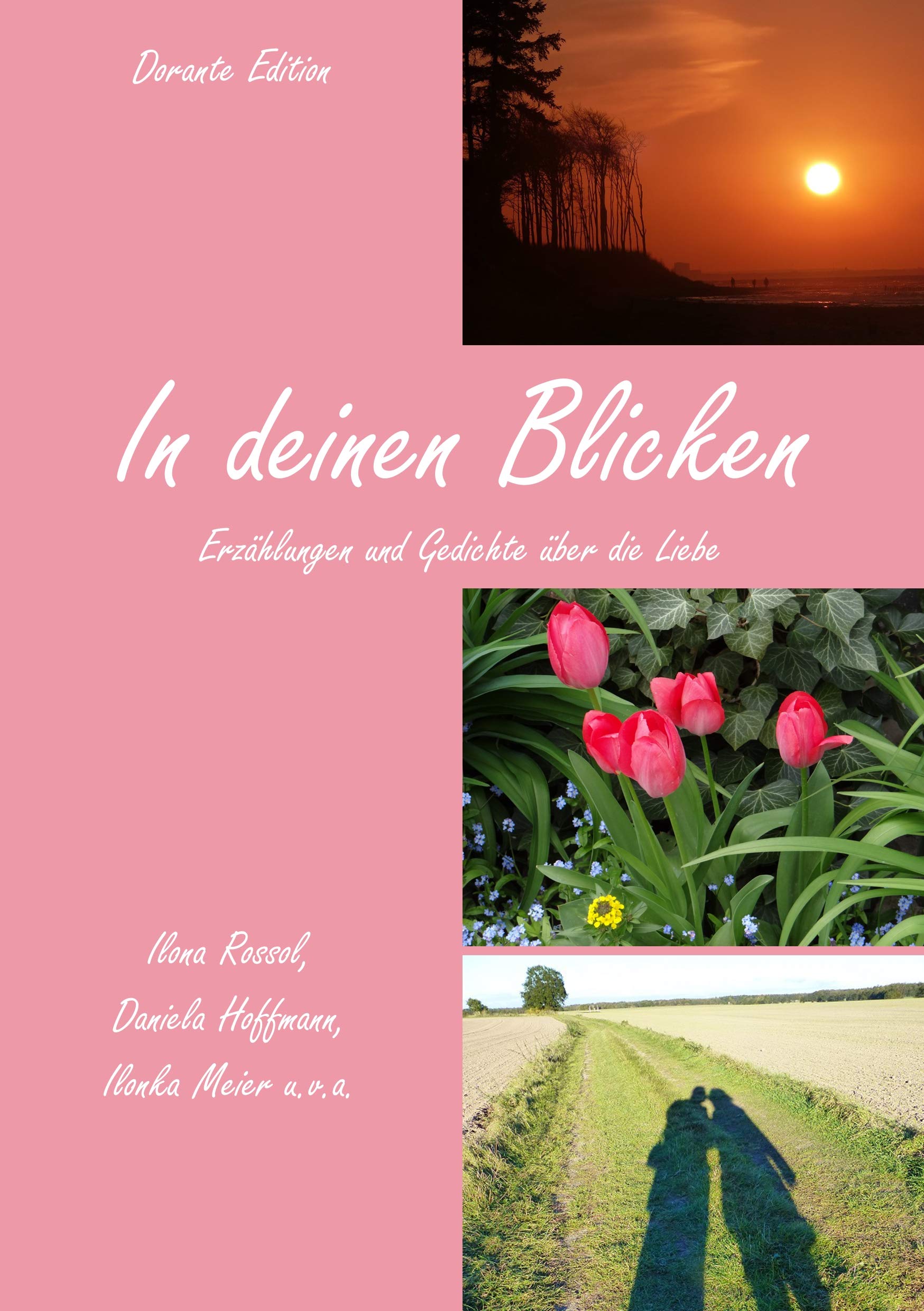 In deinen Blicken: Erzählungen und Gedichte über die Liebe Contemporary literature