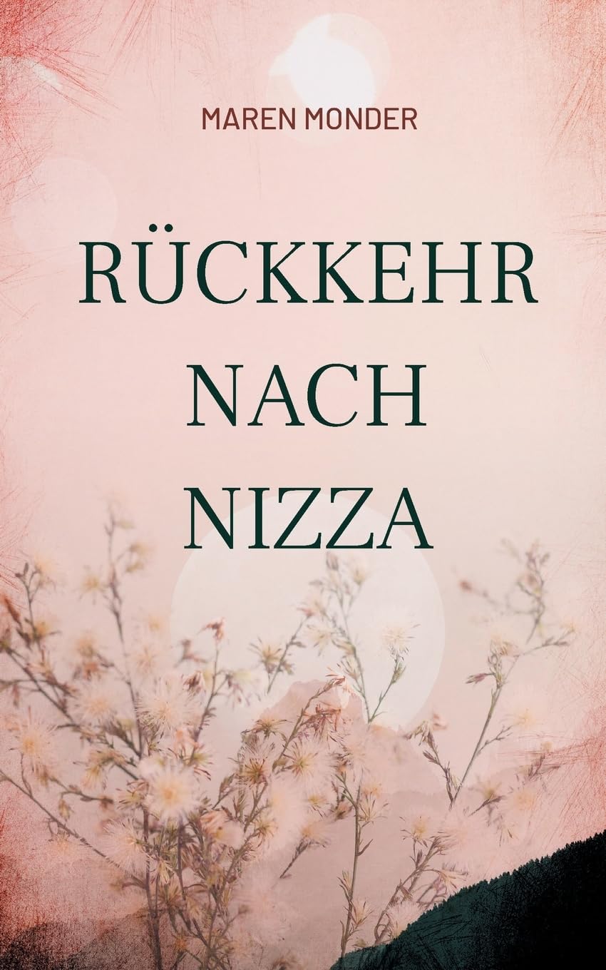 Rückkehr nach Nizza Contemporary literature