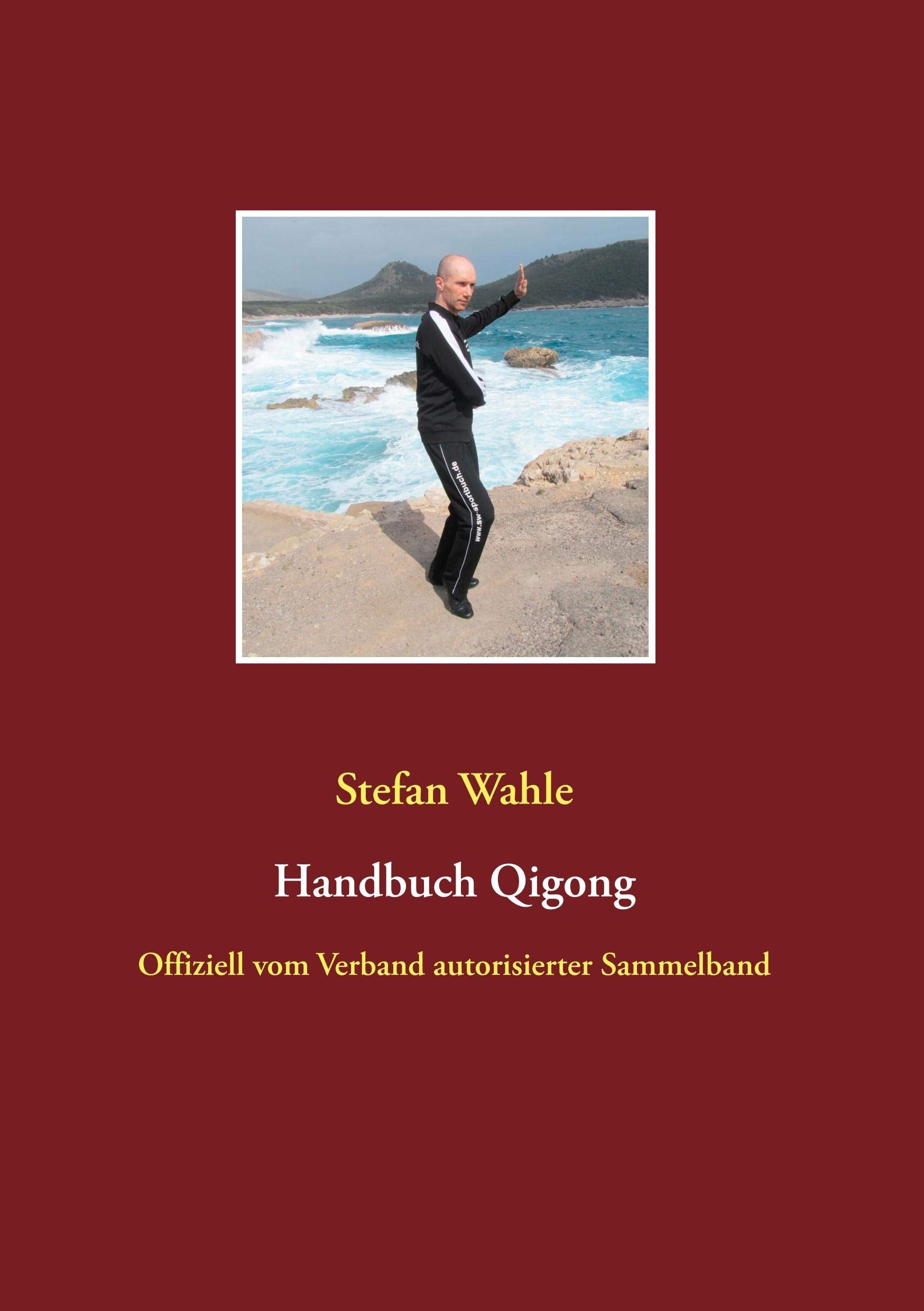 Handbuch Qigong: Offiziell vom Verband autorisierter Sammelband Medicine