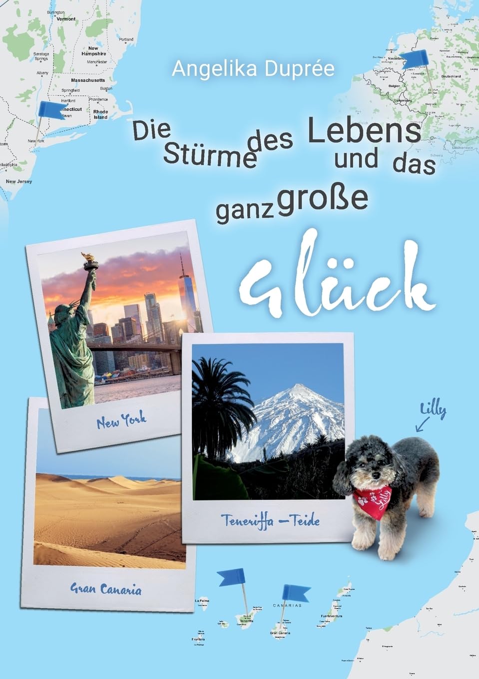 Die Stürme des Lebens und das ganz große Glück Contemporary literature