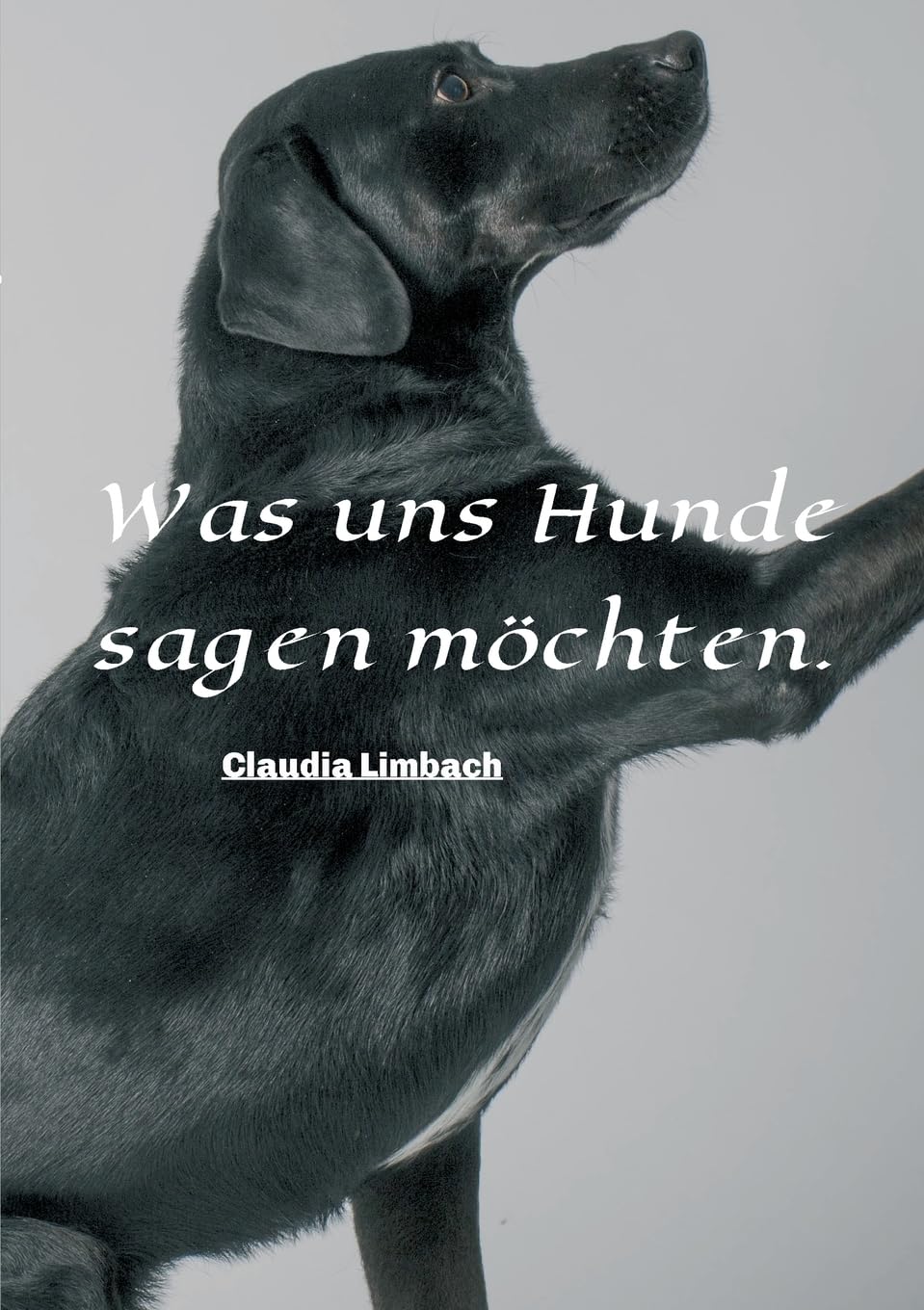 Was uns Hunde sagen möchten Pets