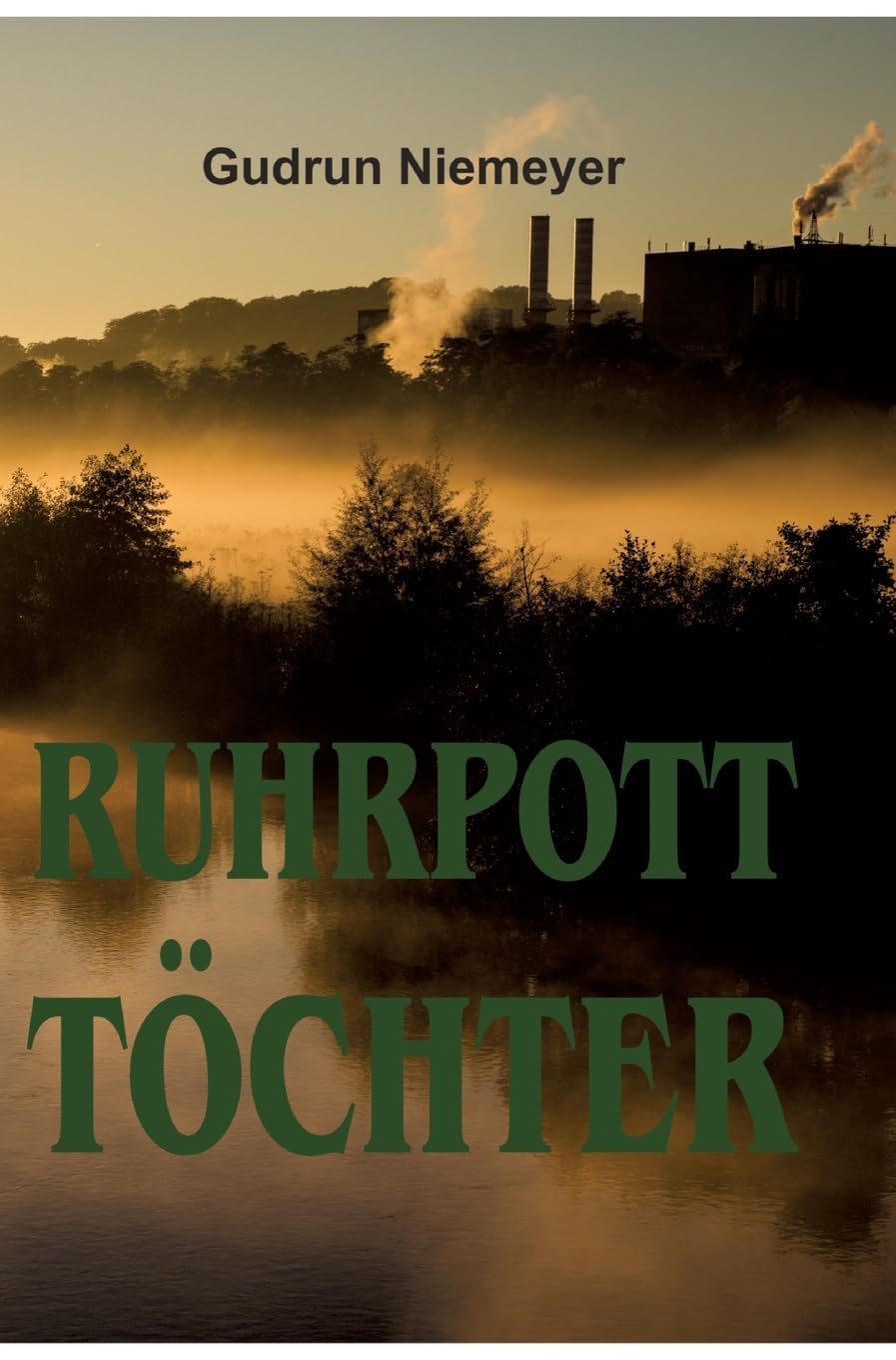 Ruhrpott-Töchter: Eine Ruhrpott-Liebe Contemporary literature