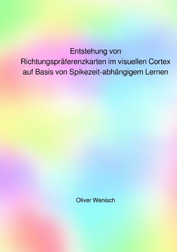Entstehung von Richtungspräferenzkarten im visuellen Cortex auf Basis von Spikezeit-abhängigem Lernen Business & Technology