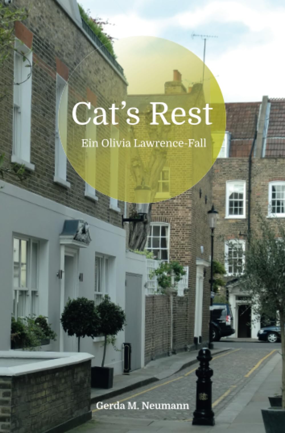 Cat's Rest: Ein Olivia Lawrence-Fall (Olivia Lawrence-Fälle) Contemporary literature