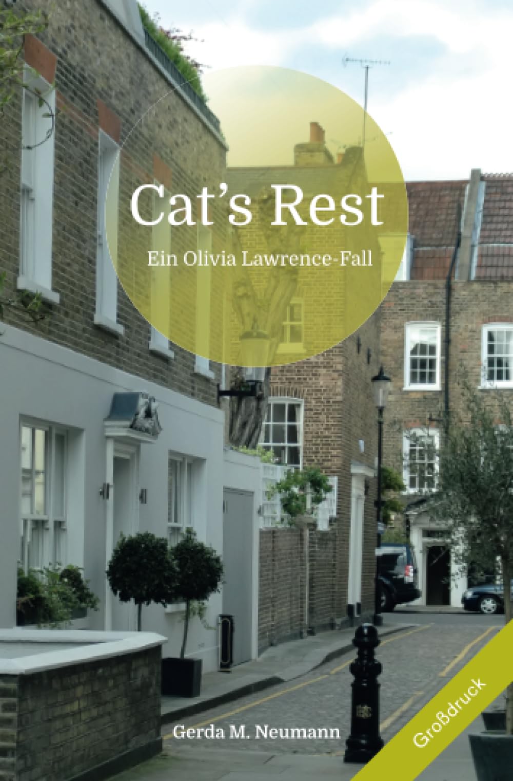 Cat's Rest : Ein Olivia Lawrence-Fall (Olivia Lawrence-Fälle ) Contemporary literature