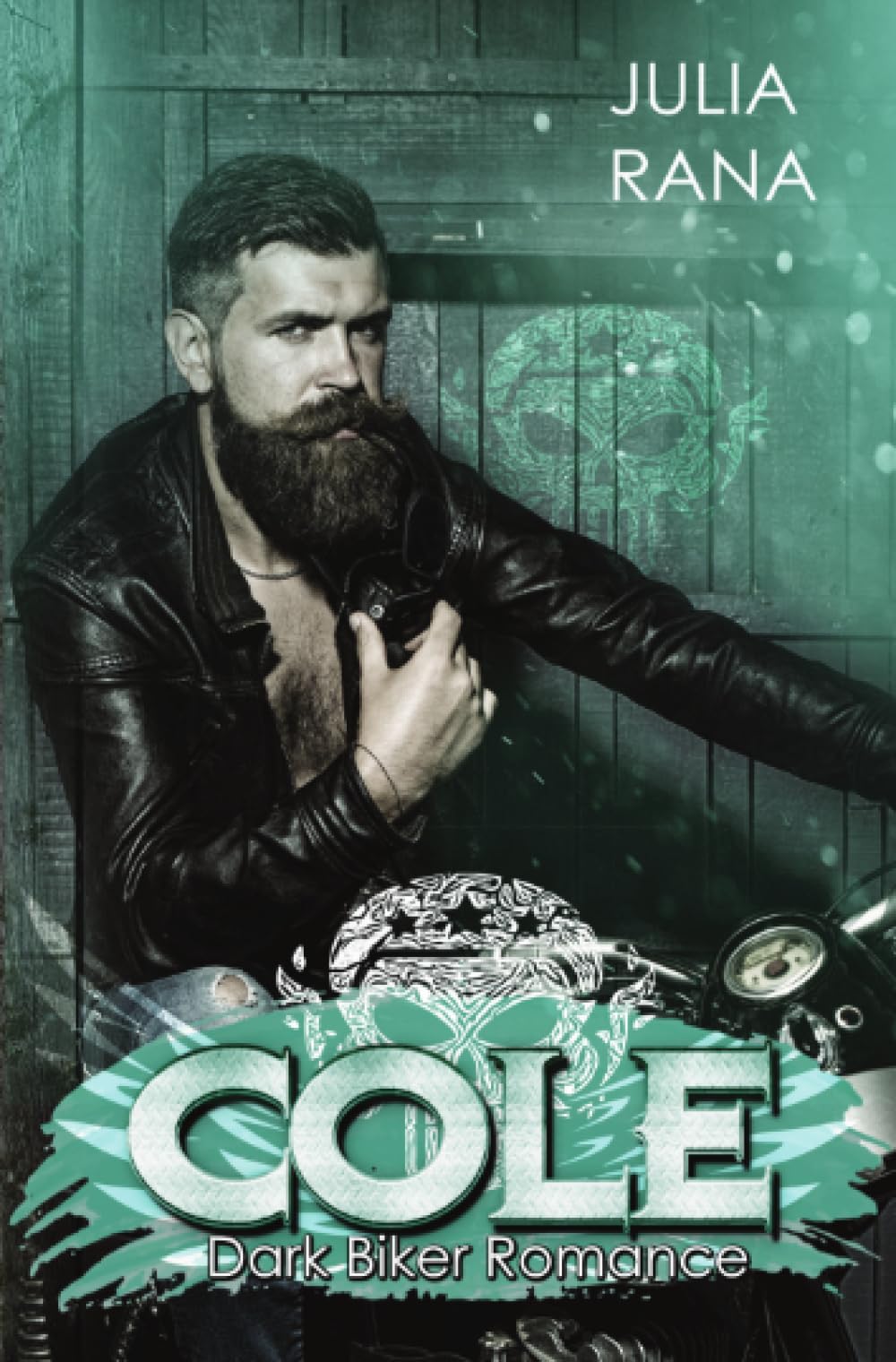 Cole: Devil's Army Sammelband (Dark Biker Romance) book