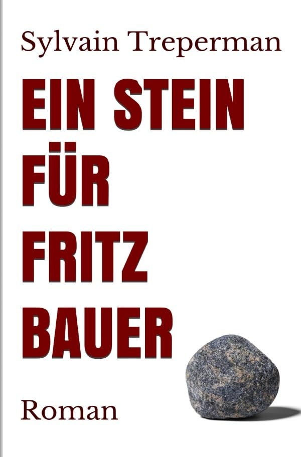 Ein Stein für Fritz Bauer: Roman Action & Adventure