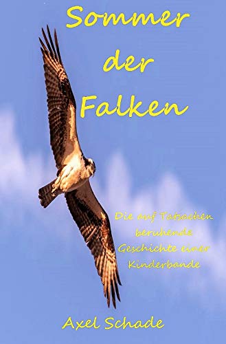 Sommer der Falken: Die auf Tatsachen beruhende Geschichte einer Kinderbande Contemporary literature