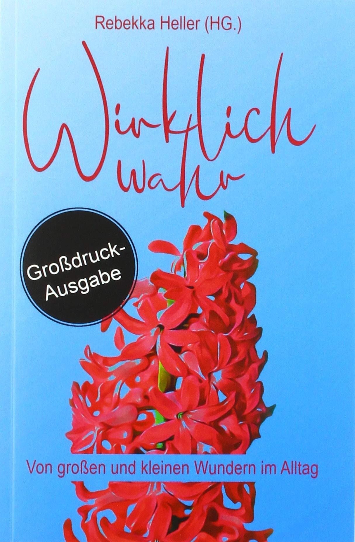 Wirklich Wahr: Von großen und kleinen Wundern im Alltag (Großdruck) Contemporary literature