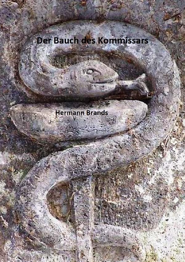 Der Bauch des Kommissars: Ein Krankenhauskrimi Contemporary literature