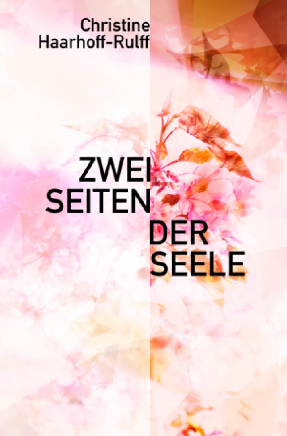 Zwei Seiten der Seele: Die Arbeitsweise der Seele Psychology