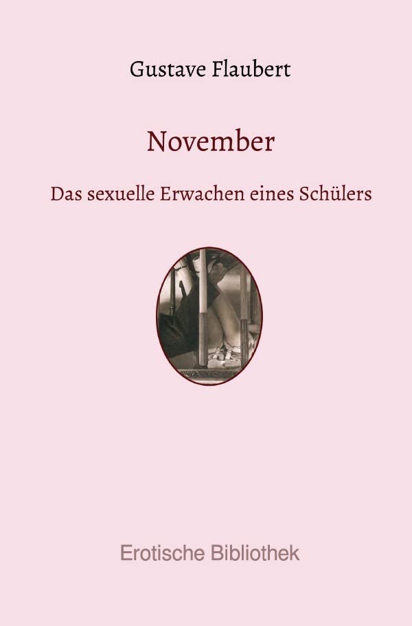November: Das sexuelle Erwachen eines Schülers (Erotische Bibliothek) Contemporary literature