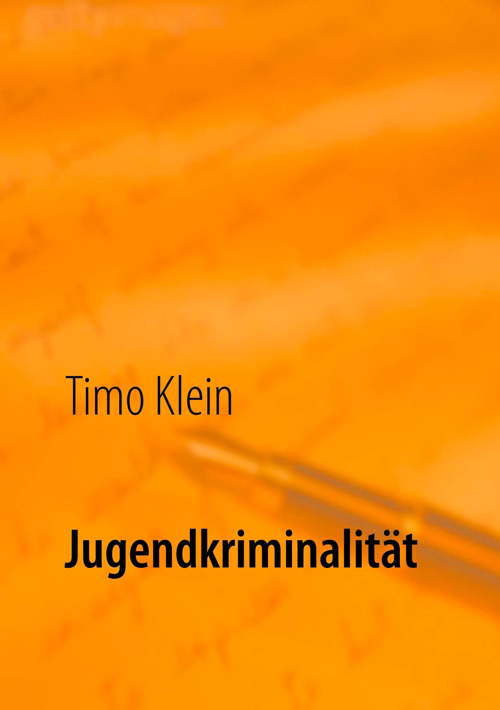 Product Image: Jugendkriminalität