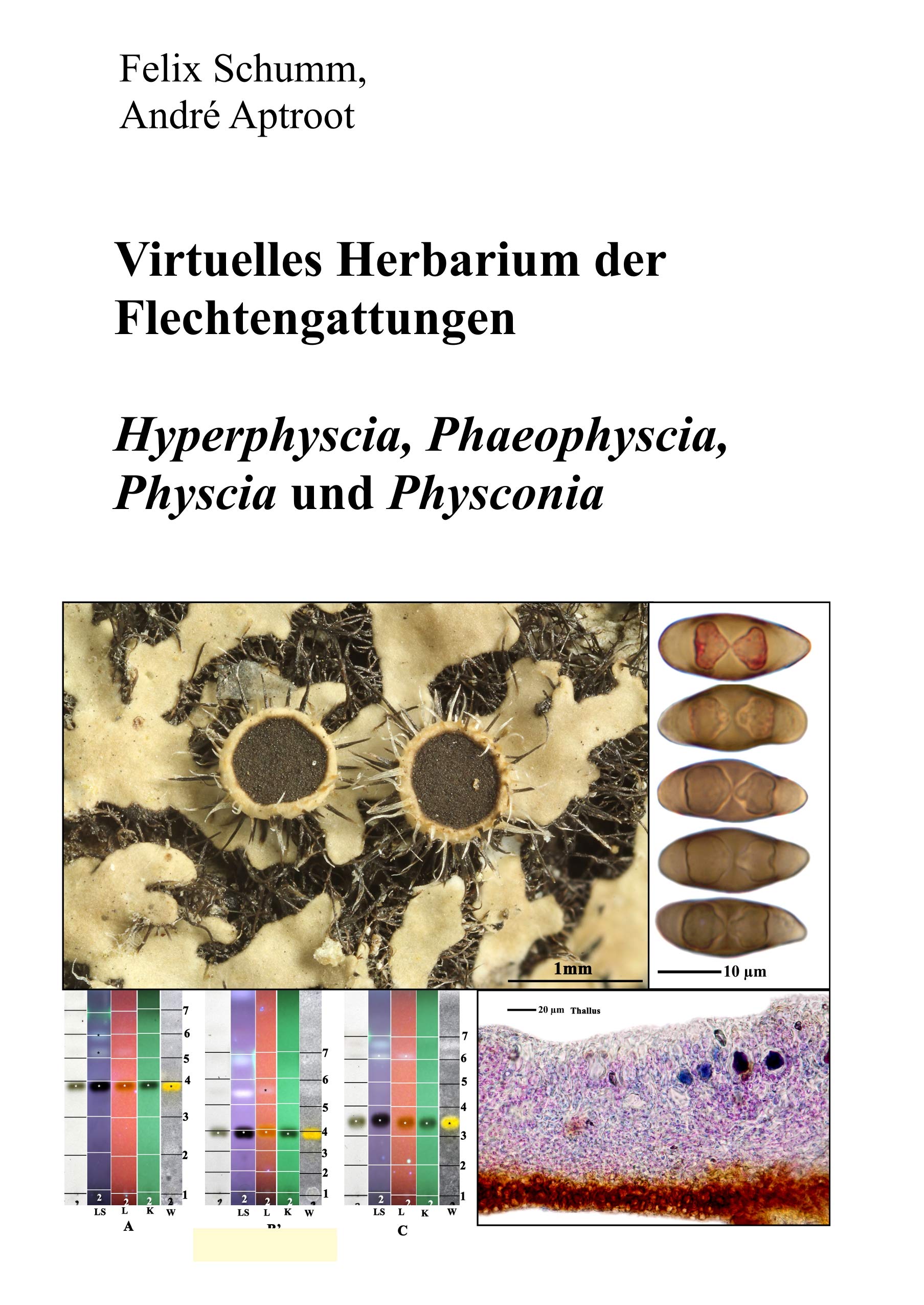 Virtuelles Herbarium der Flechtgattungen: Hyperphyscia, Phaeophyscia, Physcia und Physconia Natural Sciences