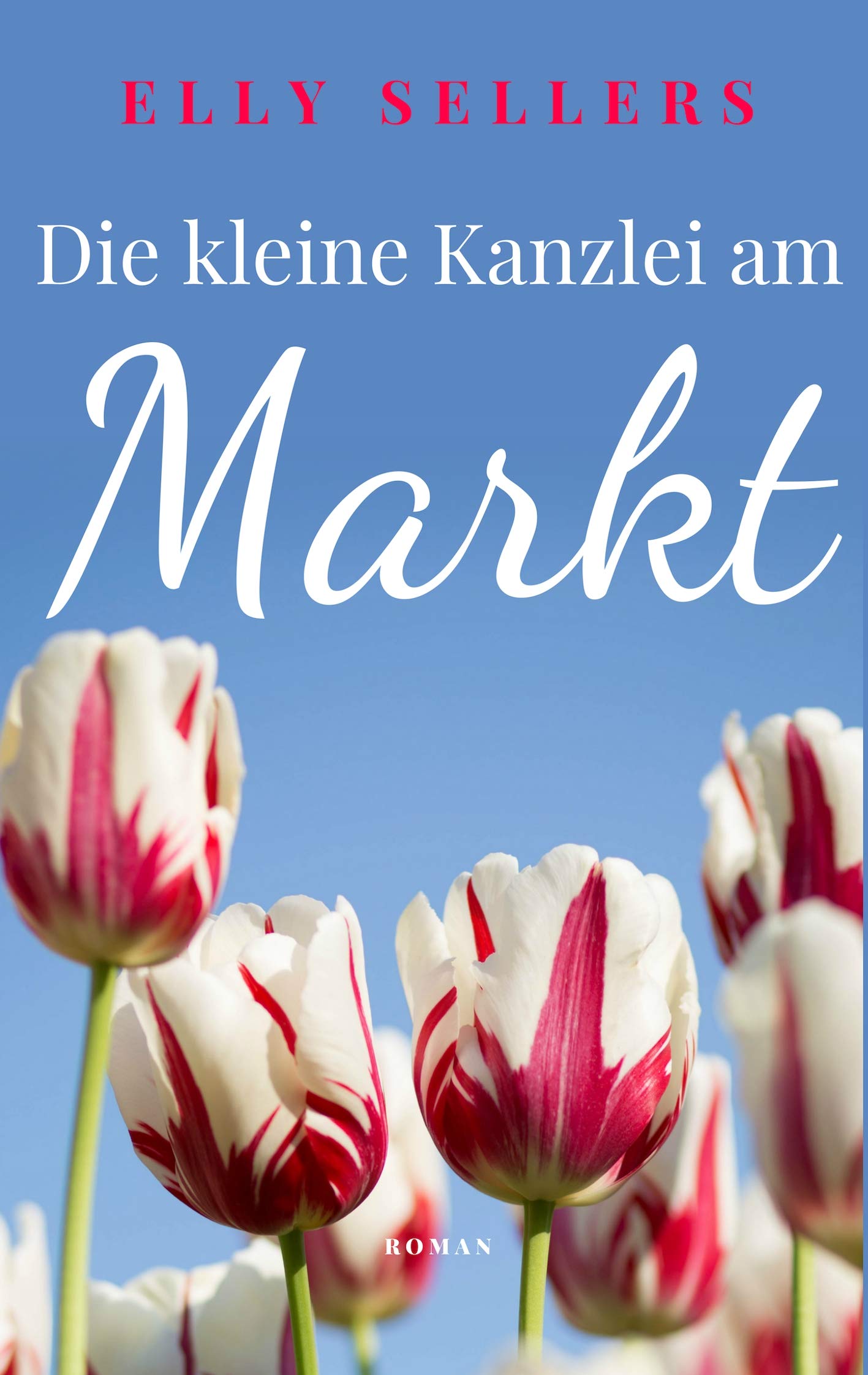 Die kleine Kanzlei am Markt Contemporary literature