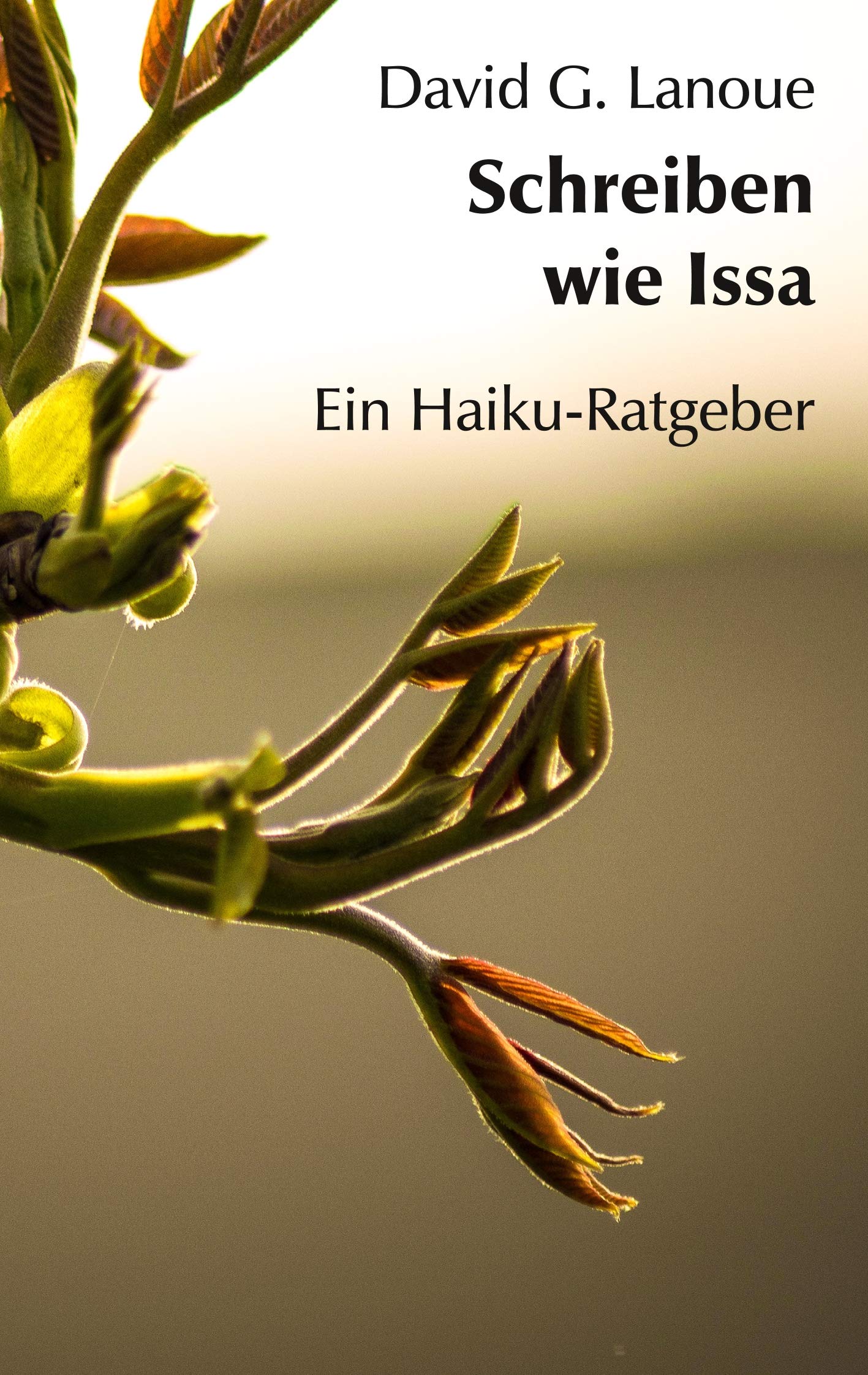Product Image: Schreiben wie Issa