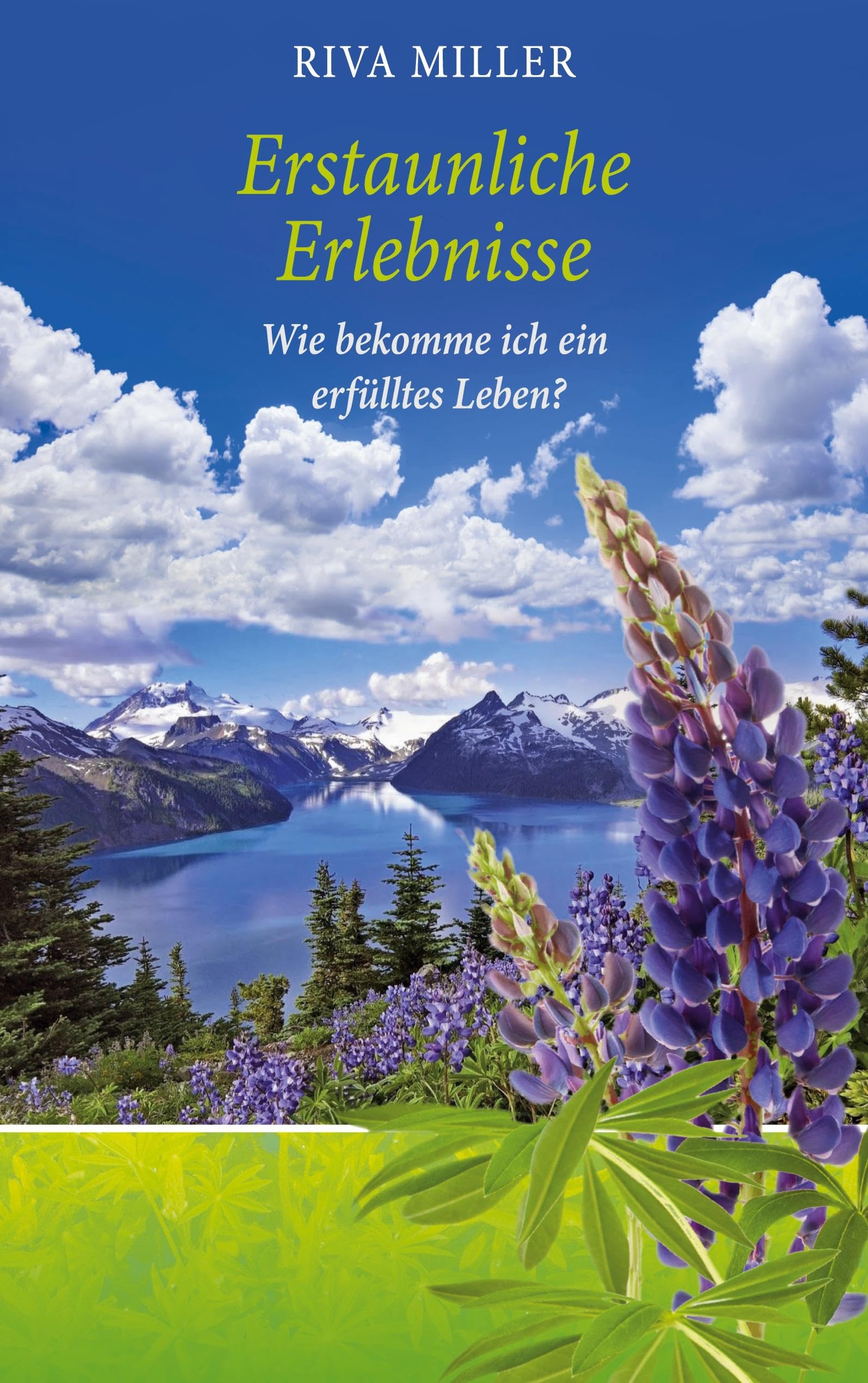Product Image: Erstaunliche Erlebnisse