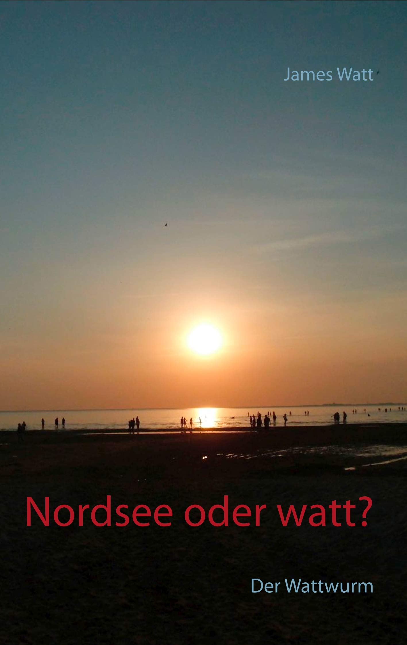 Nordsee oder watt? Contemporary literature Books