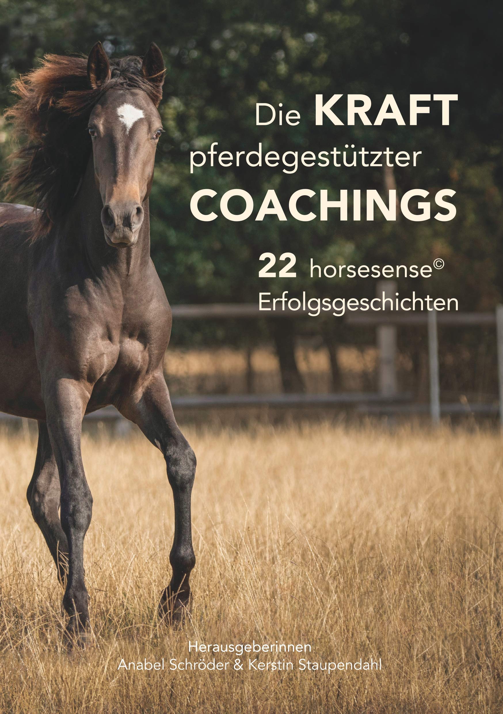 Die Kraft pferdegestützter Coachings Business, Finance & Career