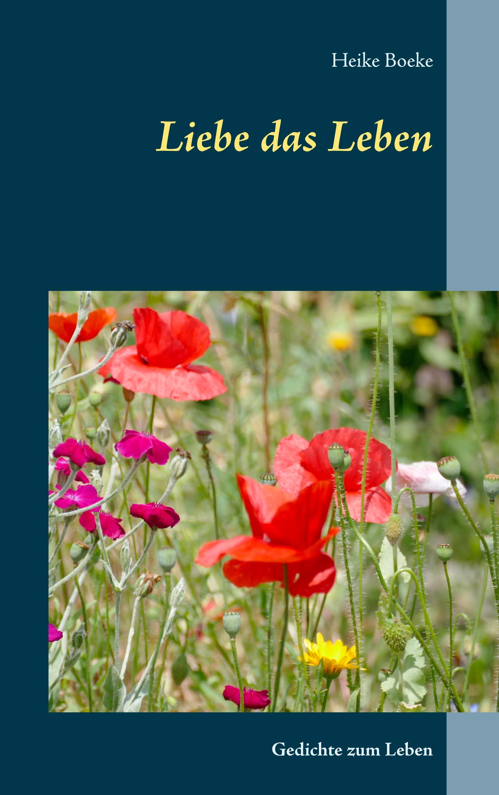 Liebe das Leben: Gedichte zum Leben Poetry