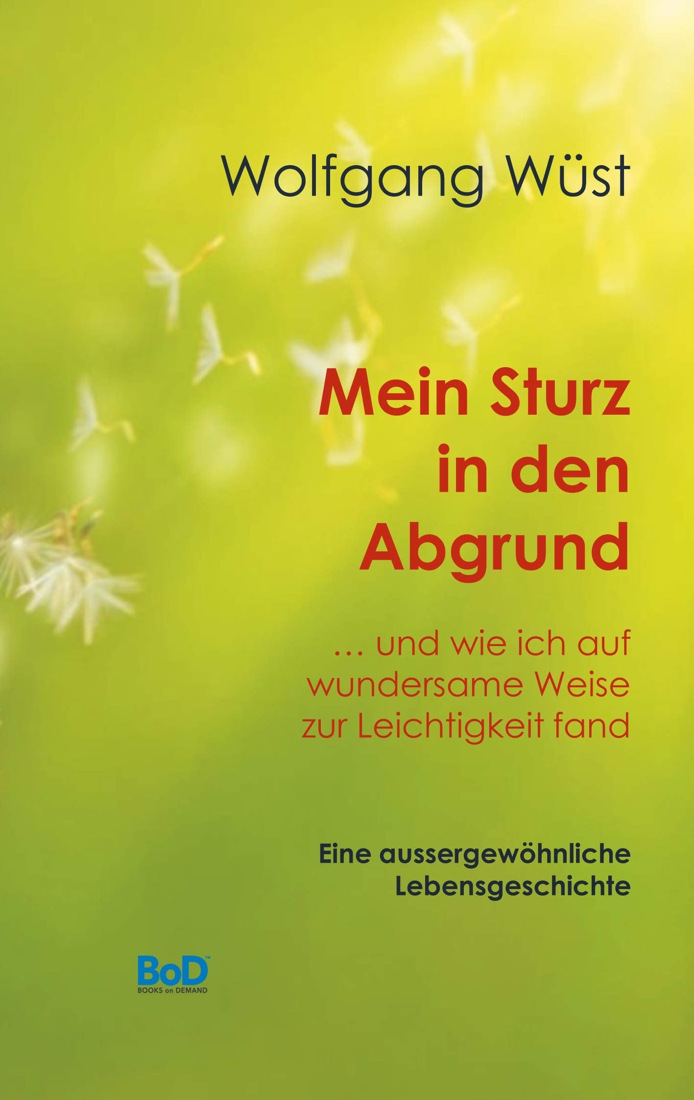 Mein Sturz in den Abgrund Social Sciences