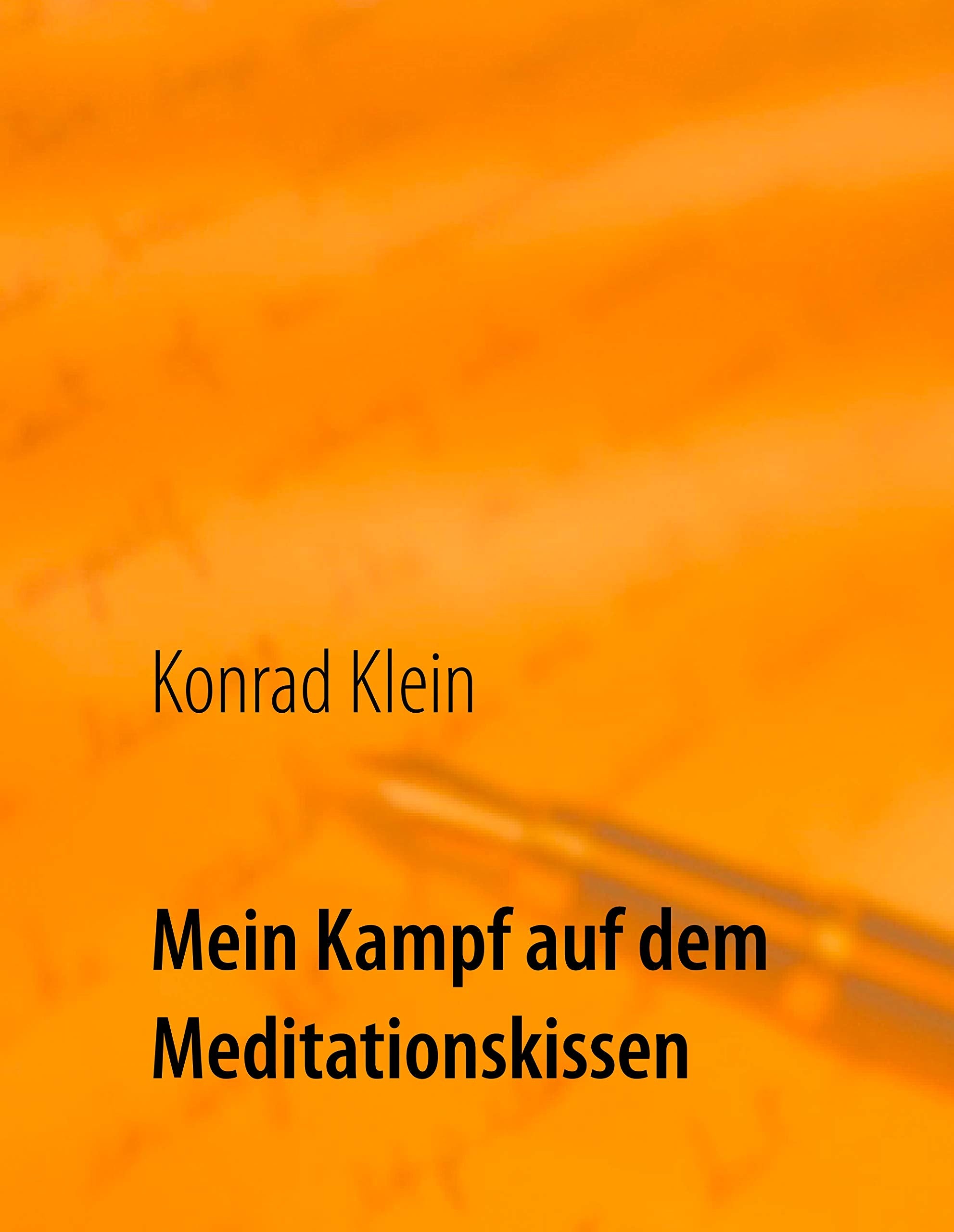 Mein Kampf auf dem Meditationskissen: Der Weg zum inneren Frieden Books