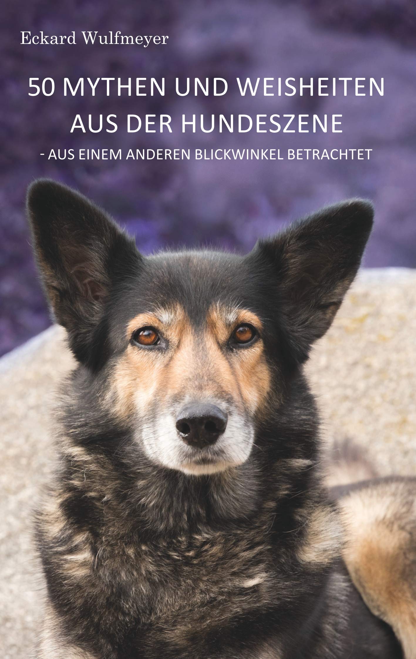 50 Mythen und Weisheiten aus der Hundeszene Pets