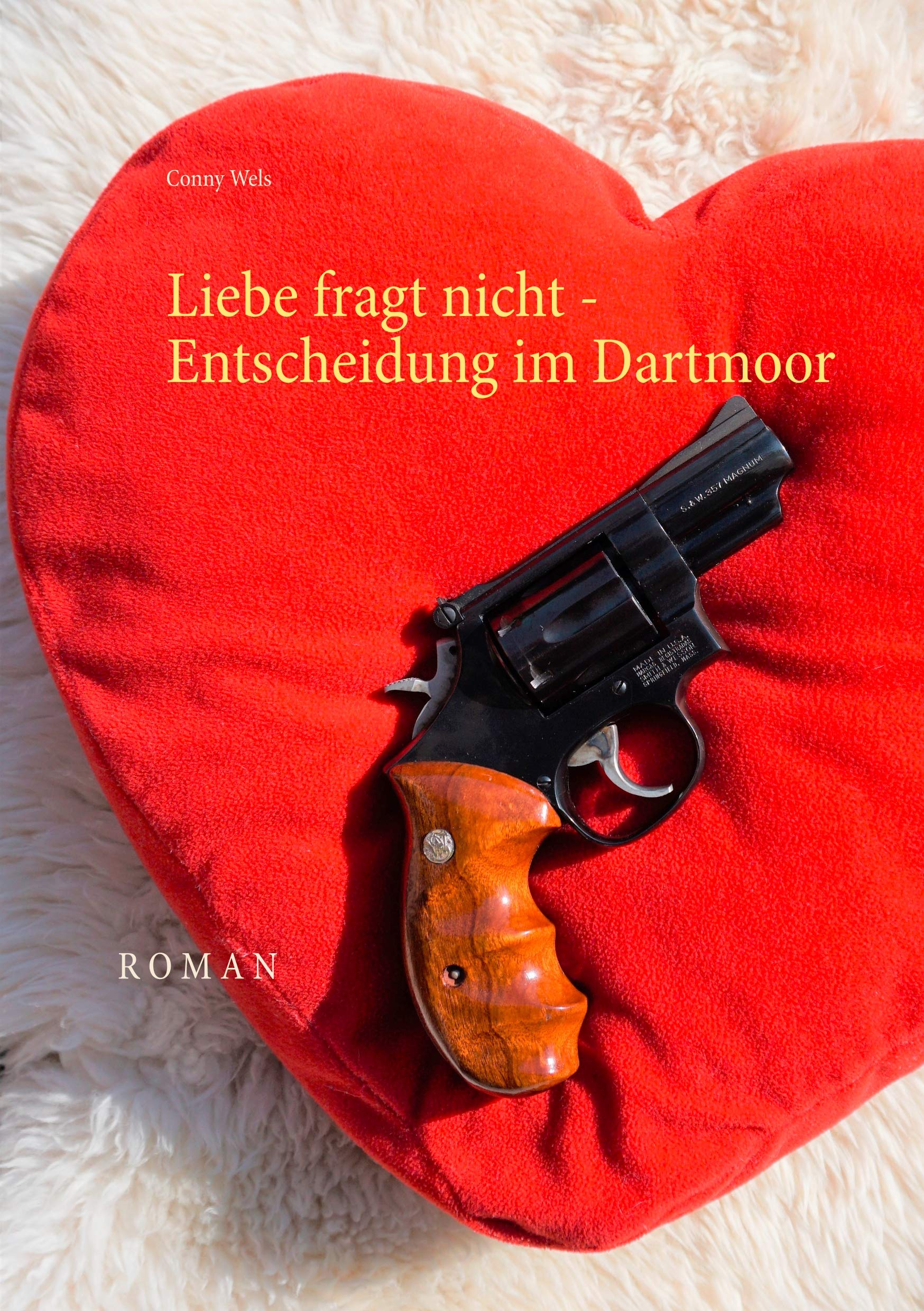Liebe fragt nicht - Entscheidung im Dartmoor Contemporary literature