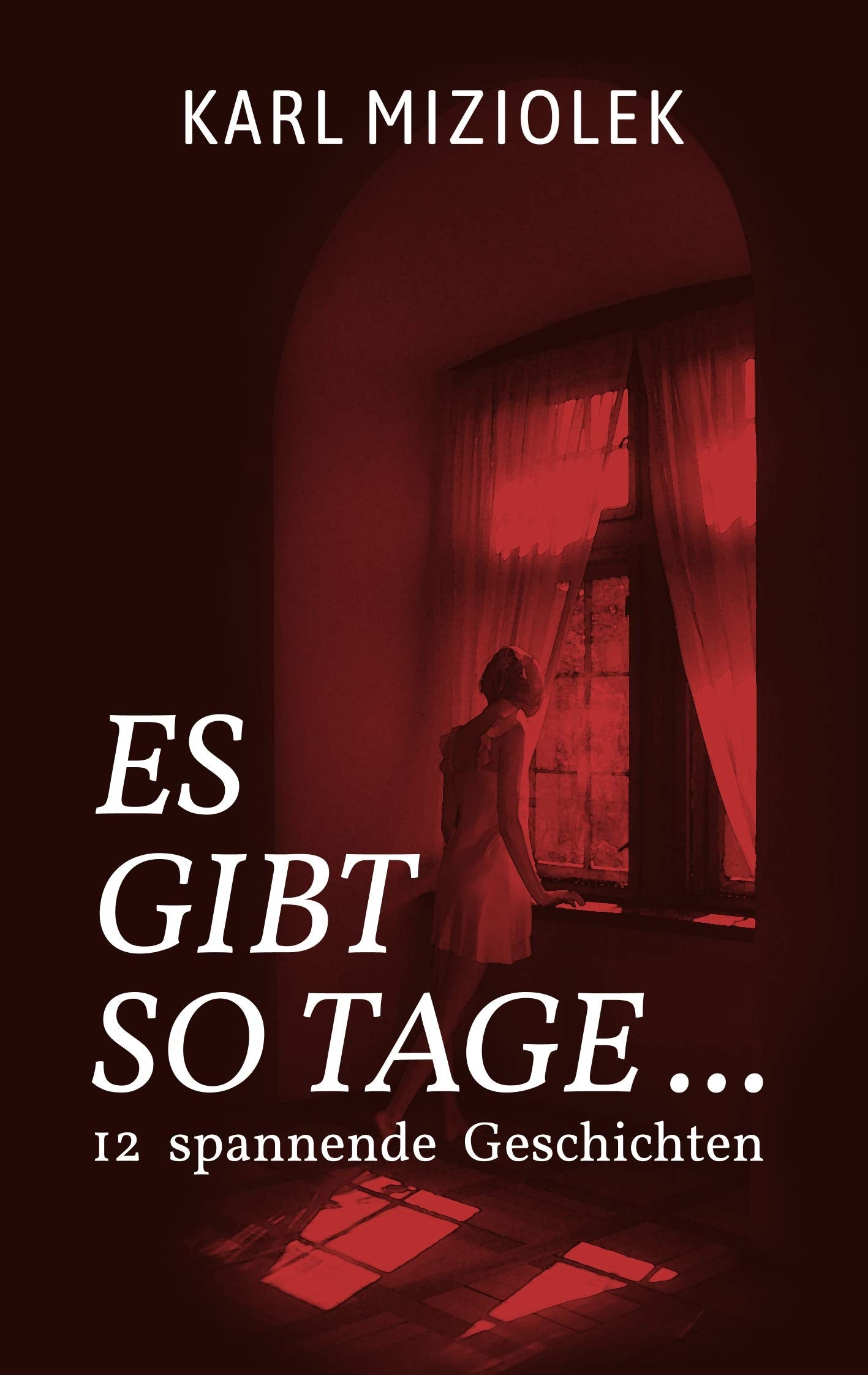 Es gibt so Tage ...: 12 spannende Kurzgeschichten Contemporary literature